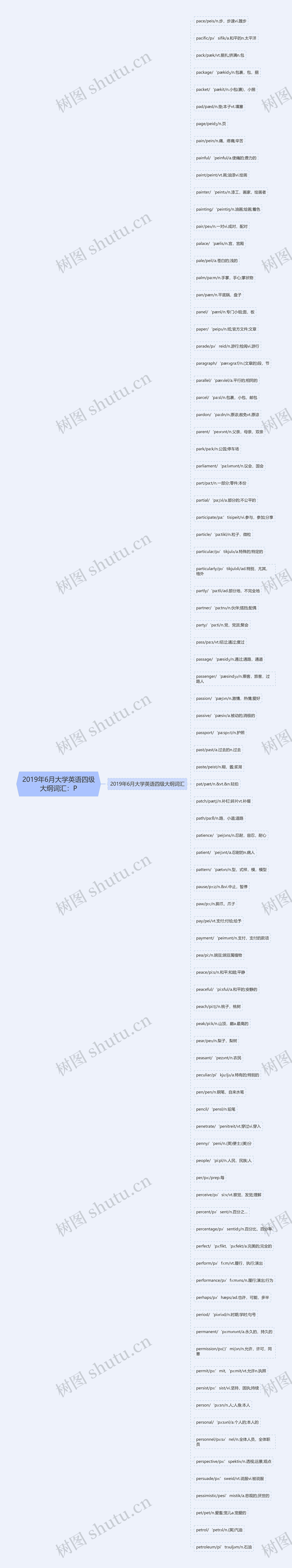 2019年6月大学英语四级大纲词汇：P思维导图