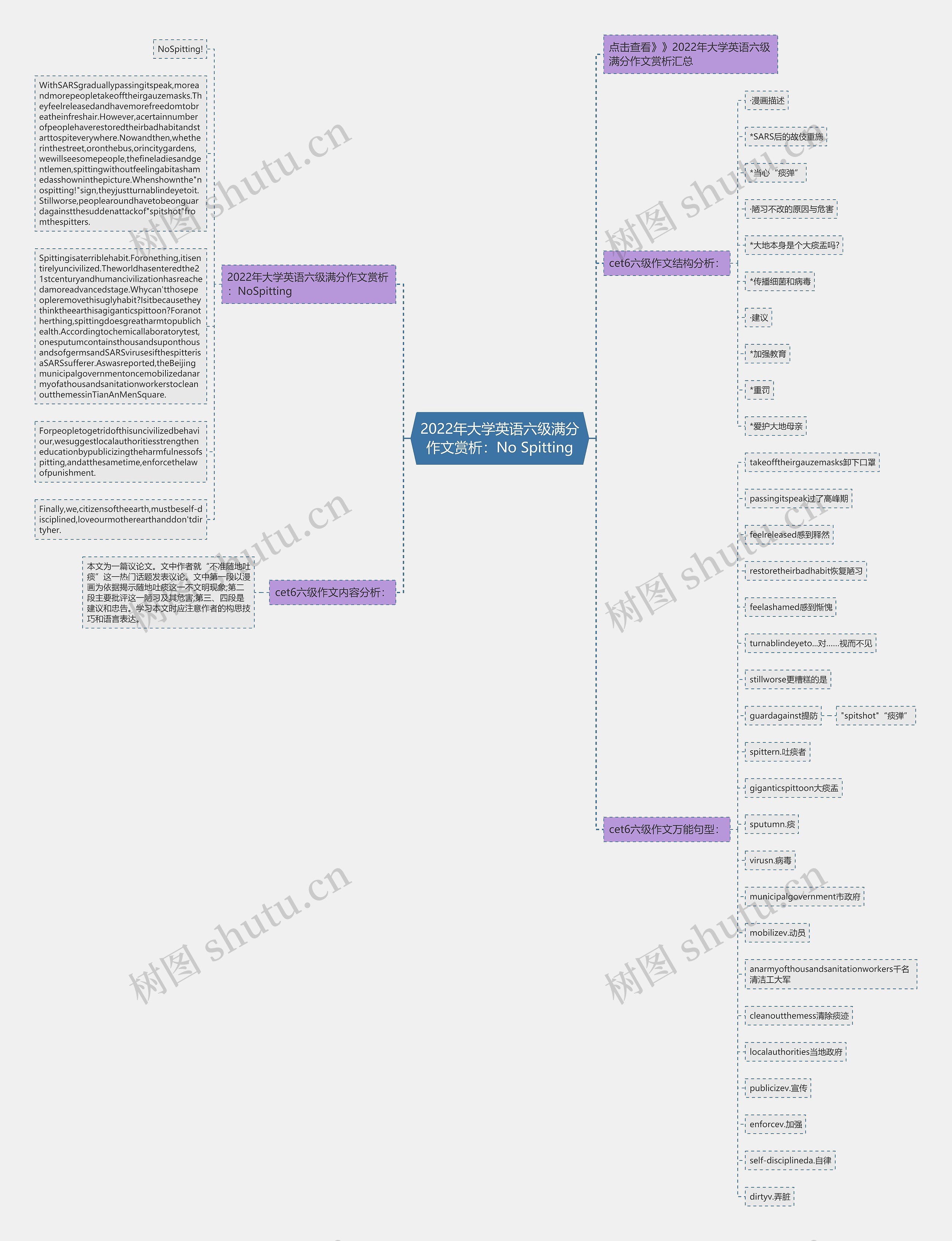 2022年大学英语六级满分作文赏析：No Spitting思维导图