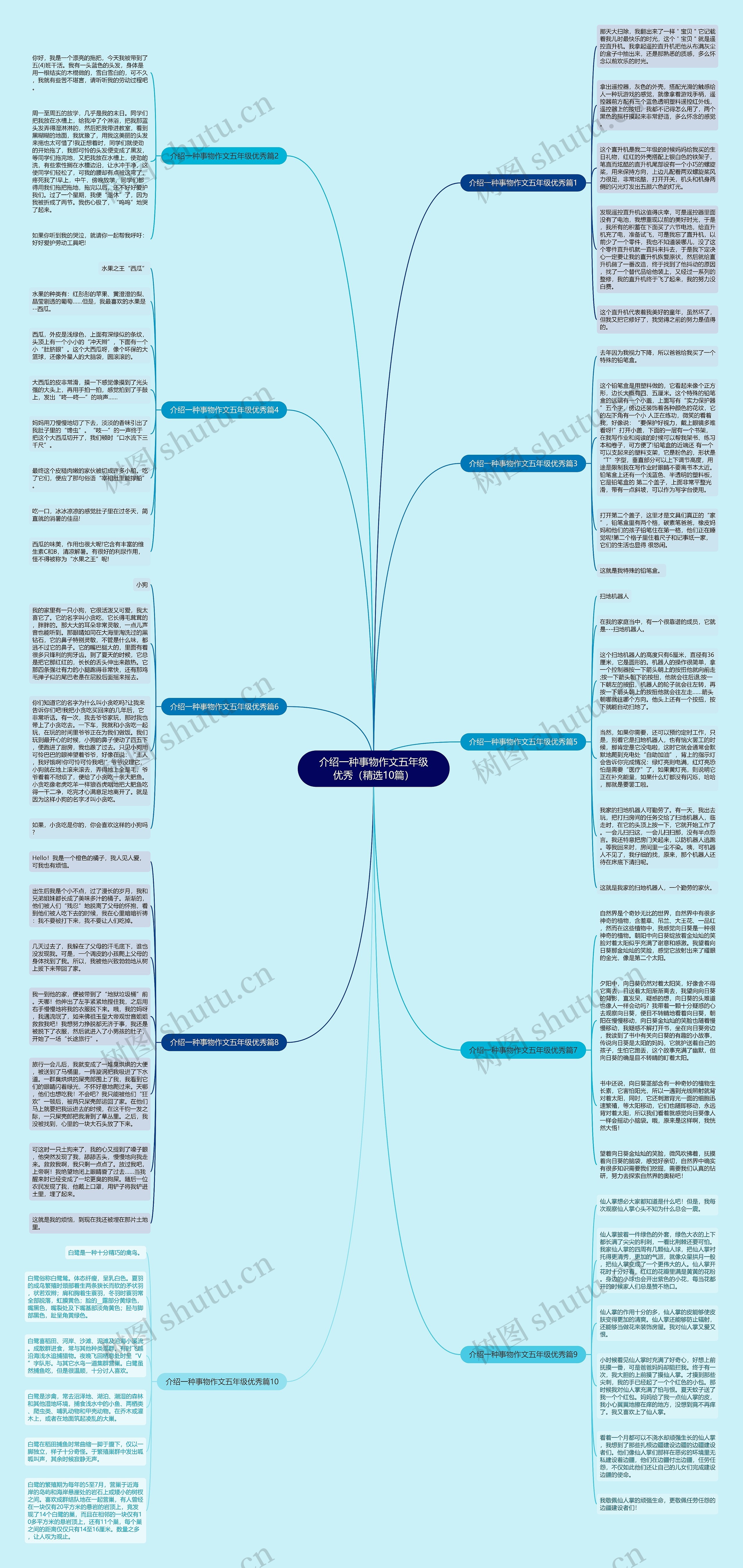 介绍一种事物作文五年级优秀（精选10篇）思维导图