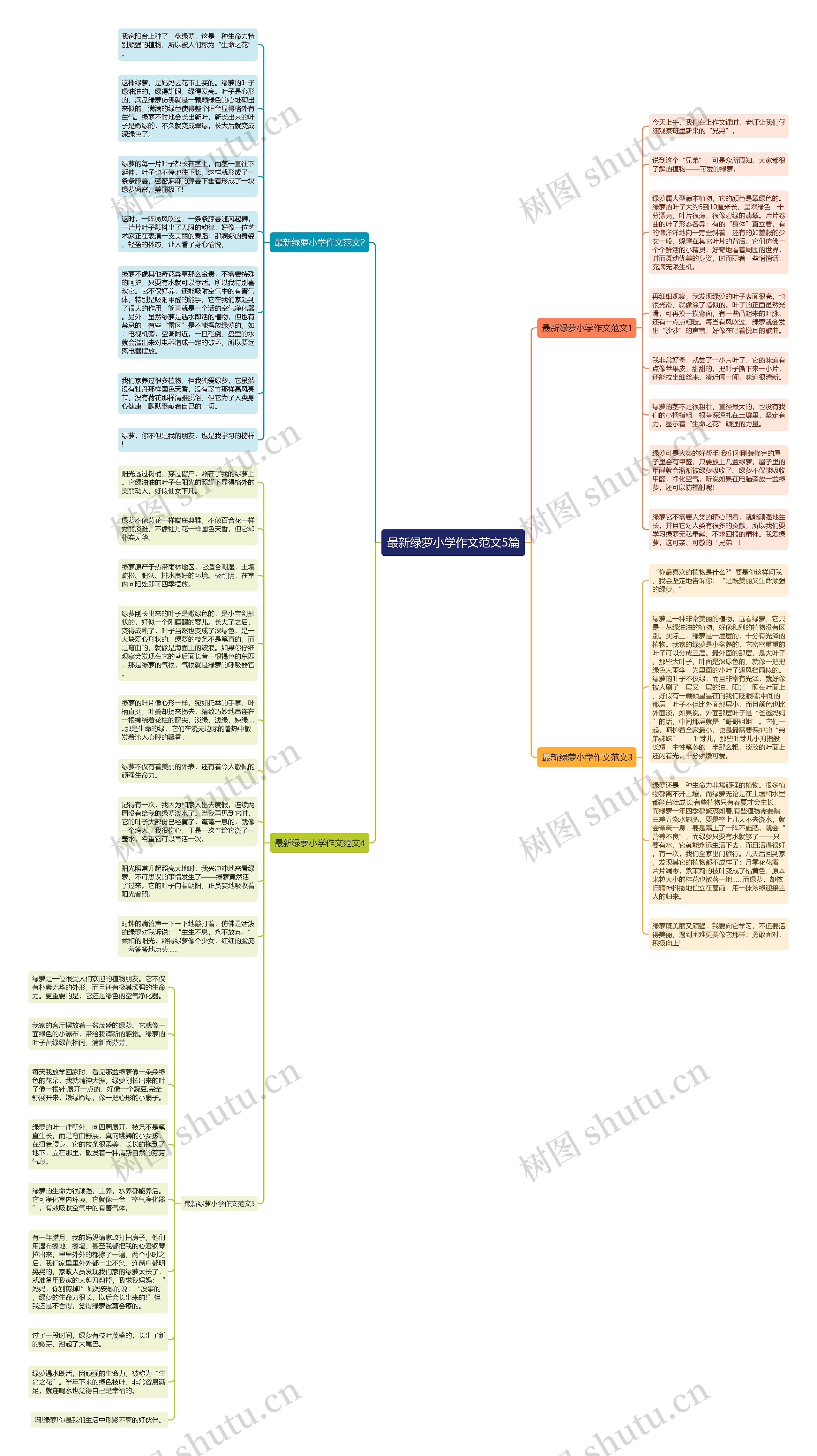 最新绿萝小学作文范文5篇思维导图