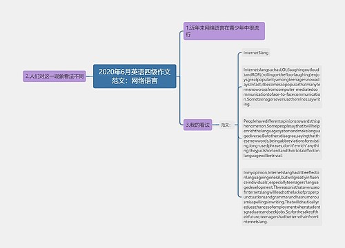 2020年6月英语四级作文范文：网络语言