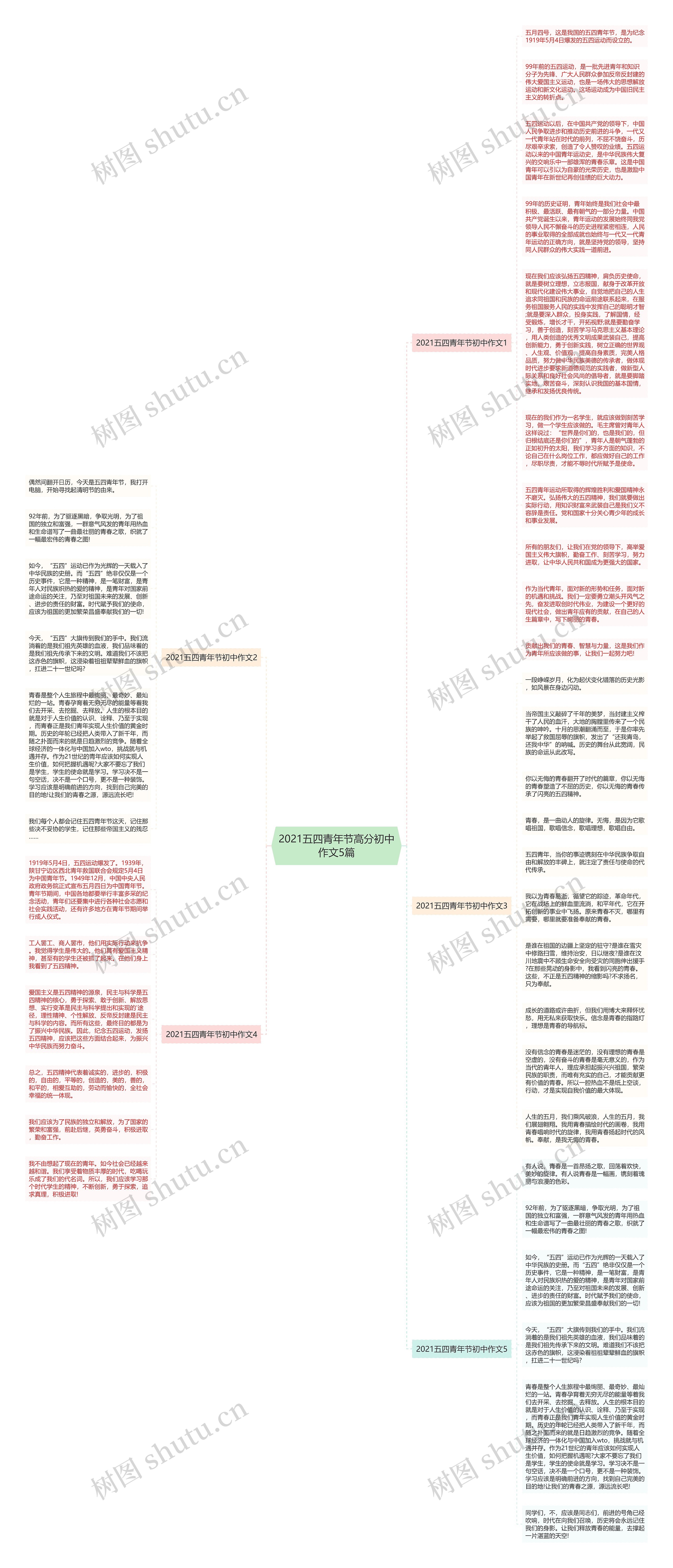 2021五四青年节高分初中作文5篇思维导图