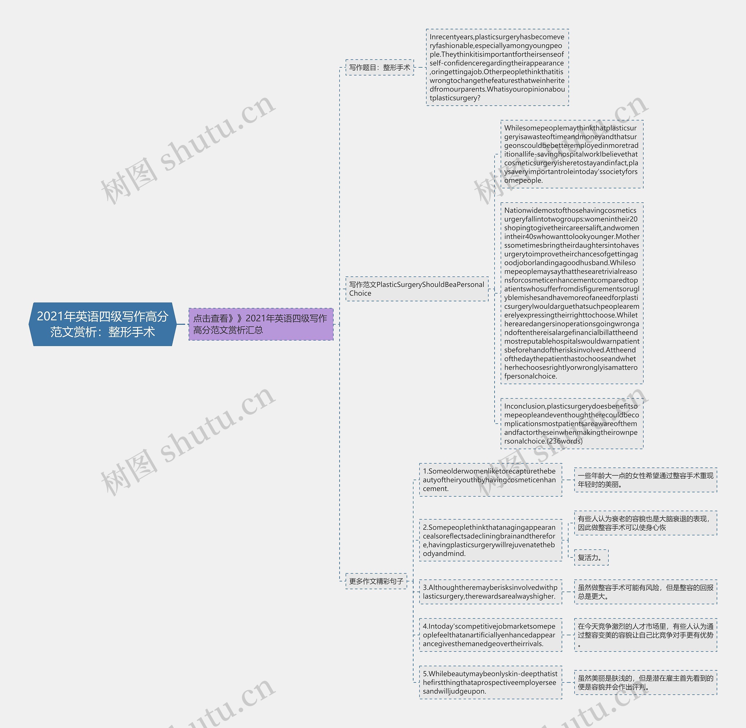 2021年英语四级写作高分范文赏析：整形手术思维导图