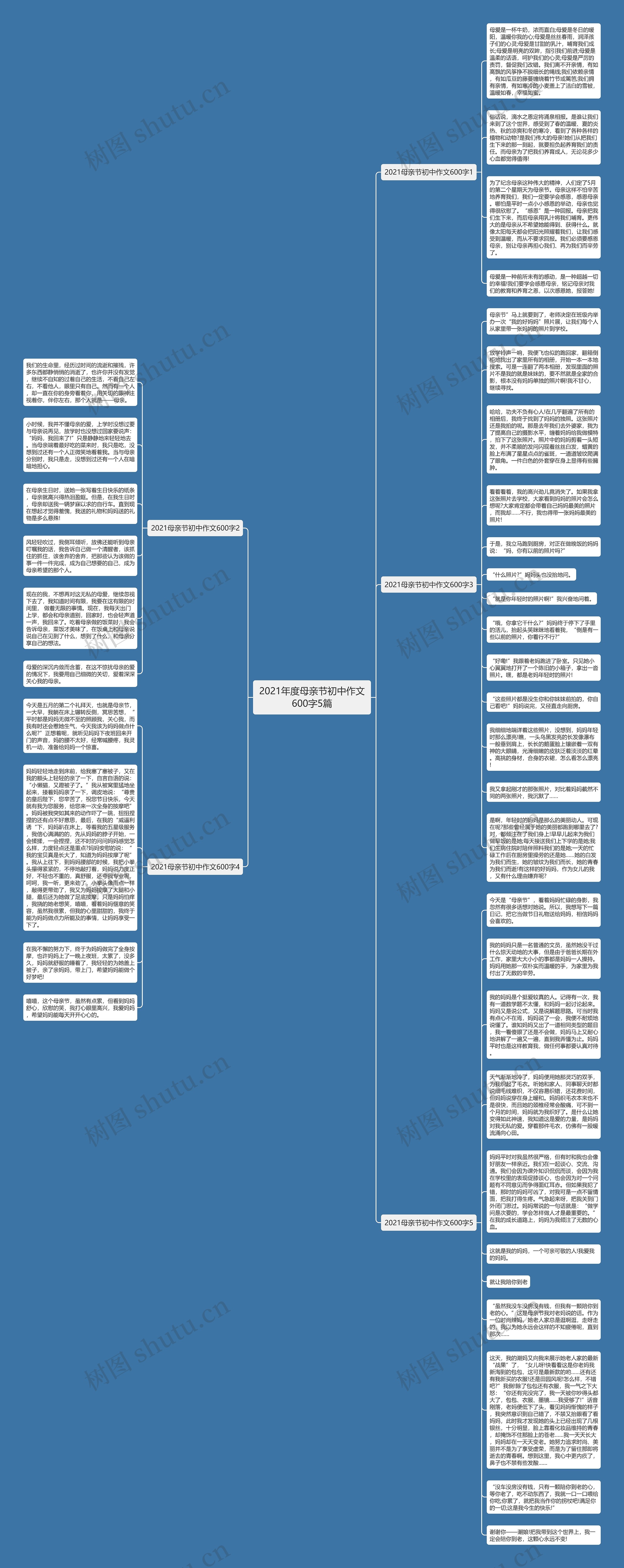2021年度母亲节初中作文600字5篇思维导图