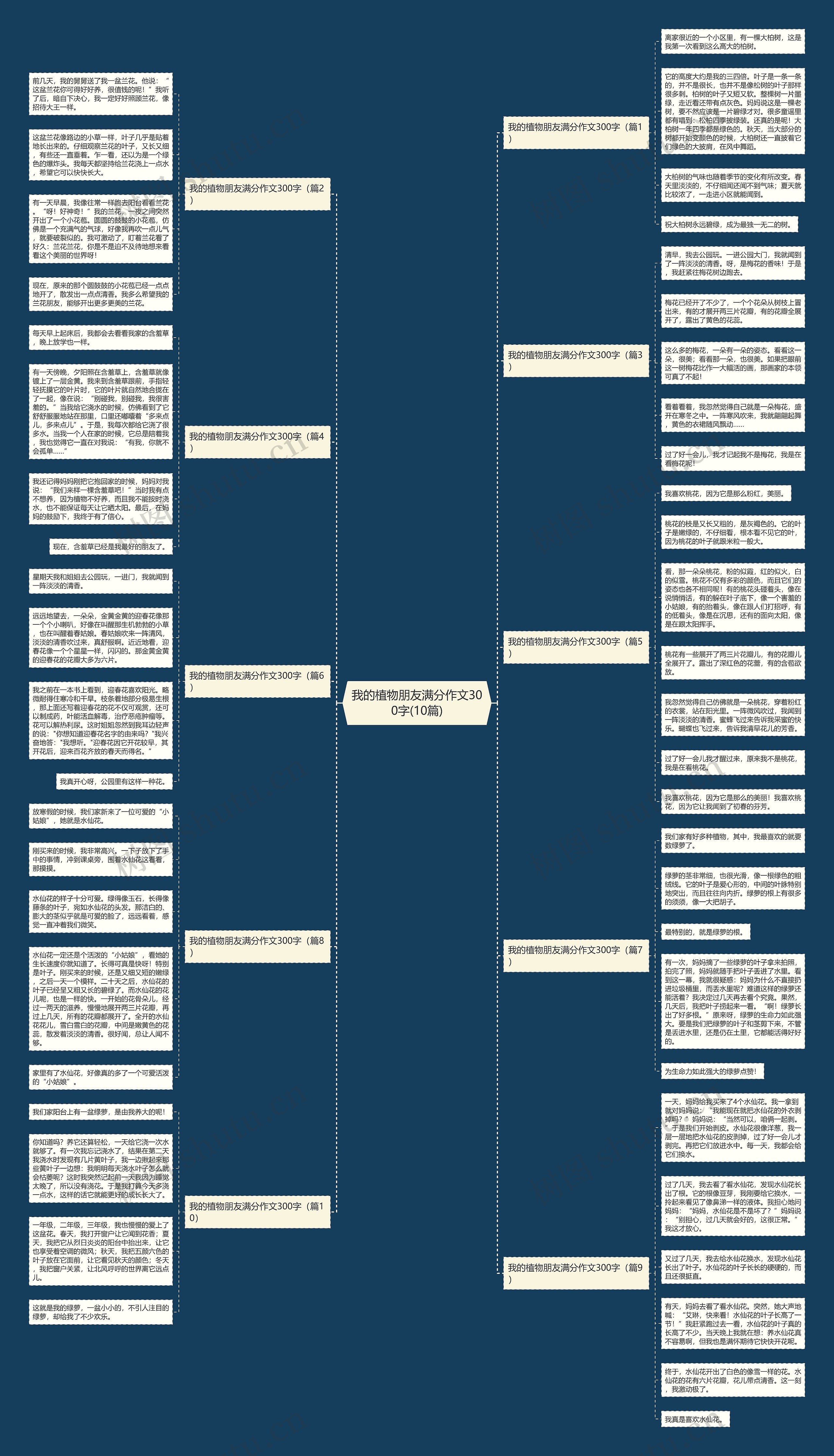 我的植物朋友满分作文300字(10篇)思维导图