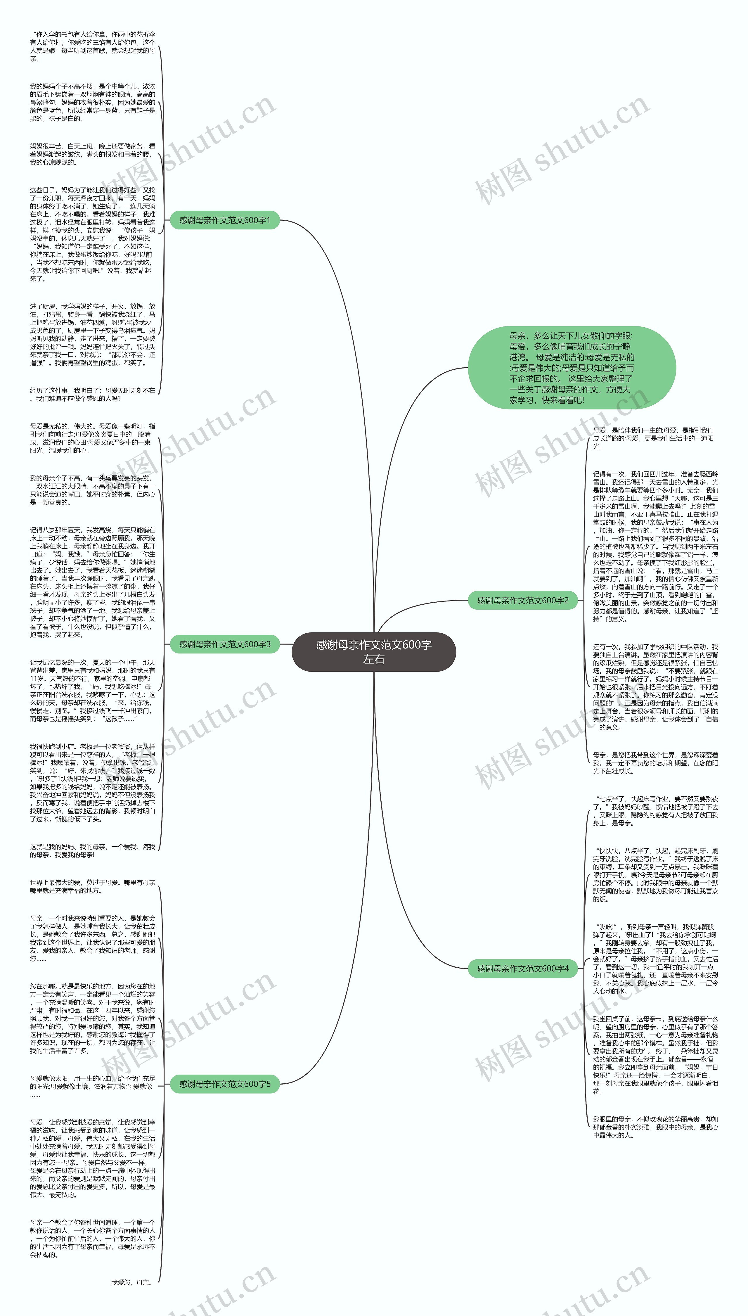 感谢母亲作文范文600字左右思维导图