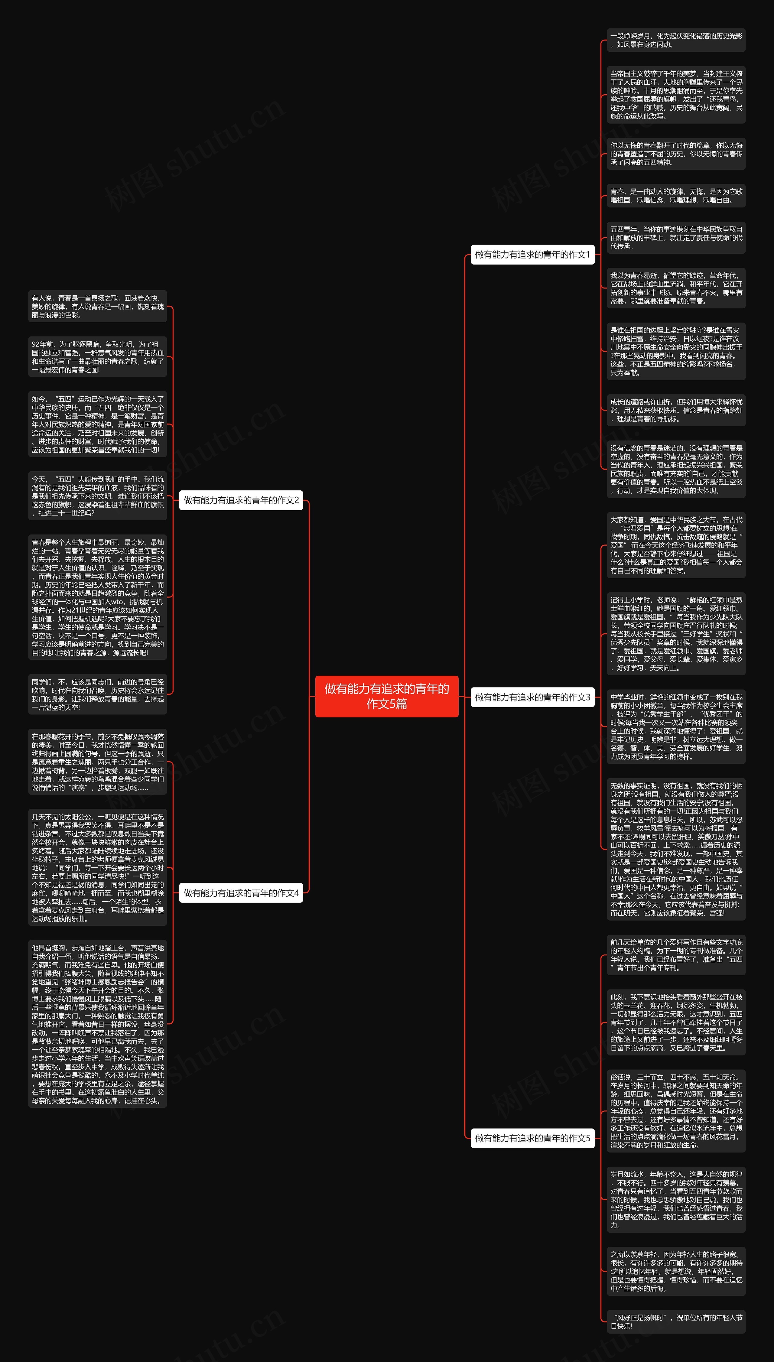 做有能力有追求的青年的作文5篇思维导图