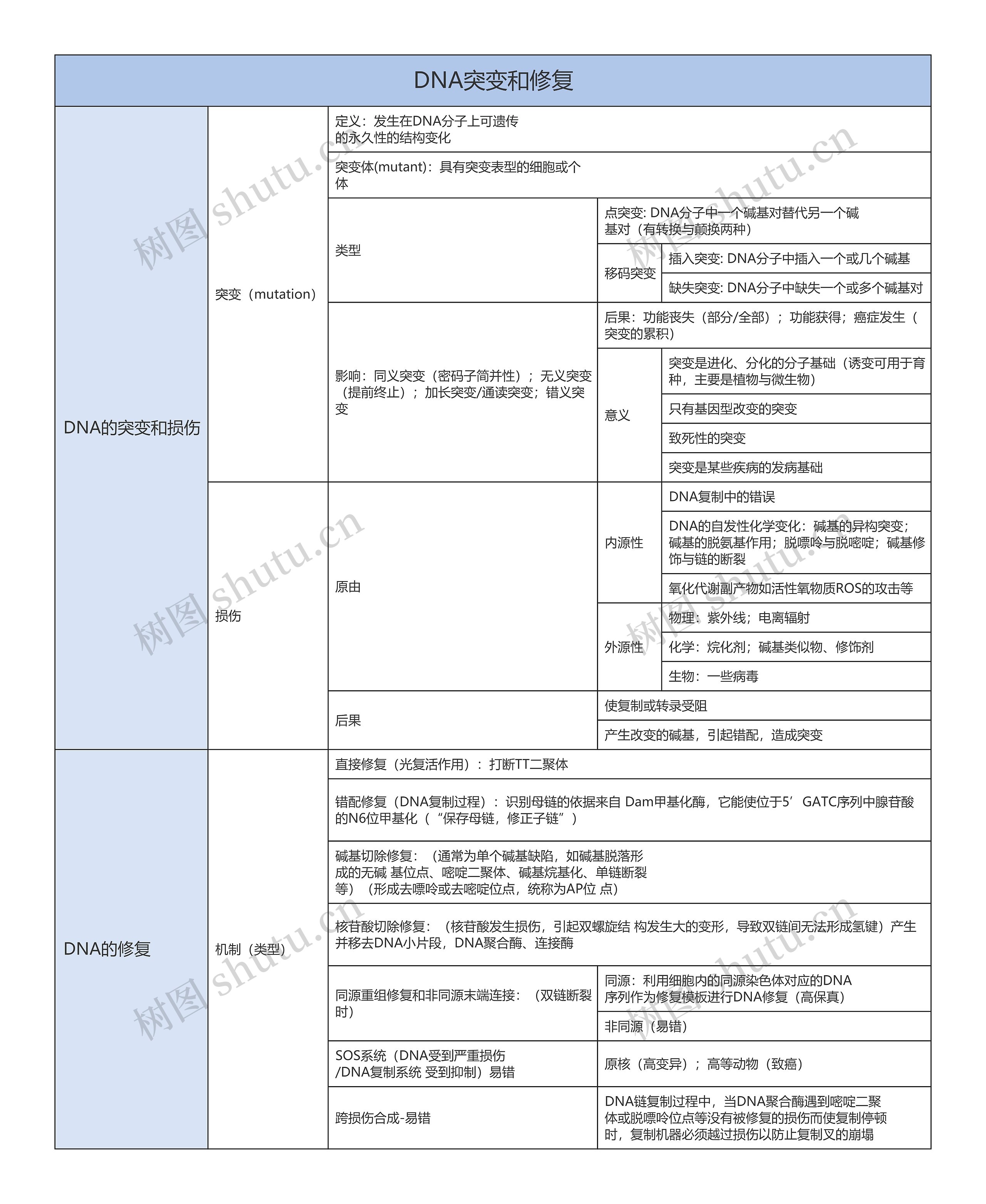 DNA突变和修复思维导图