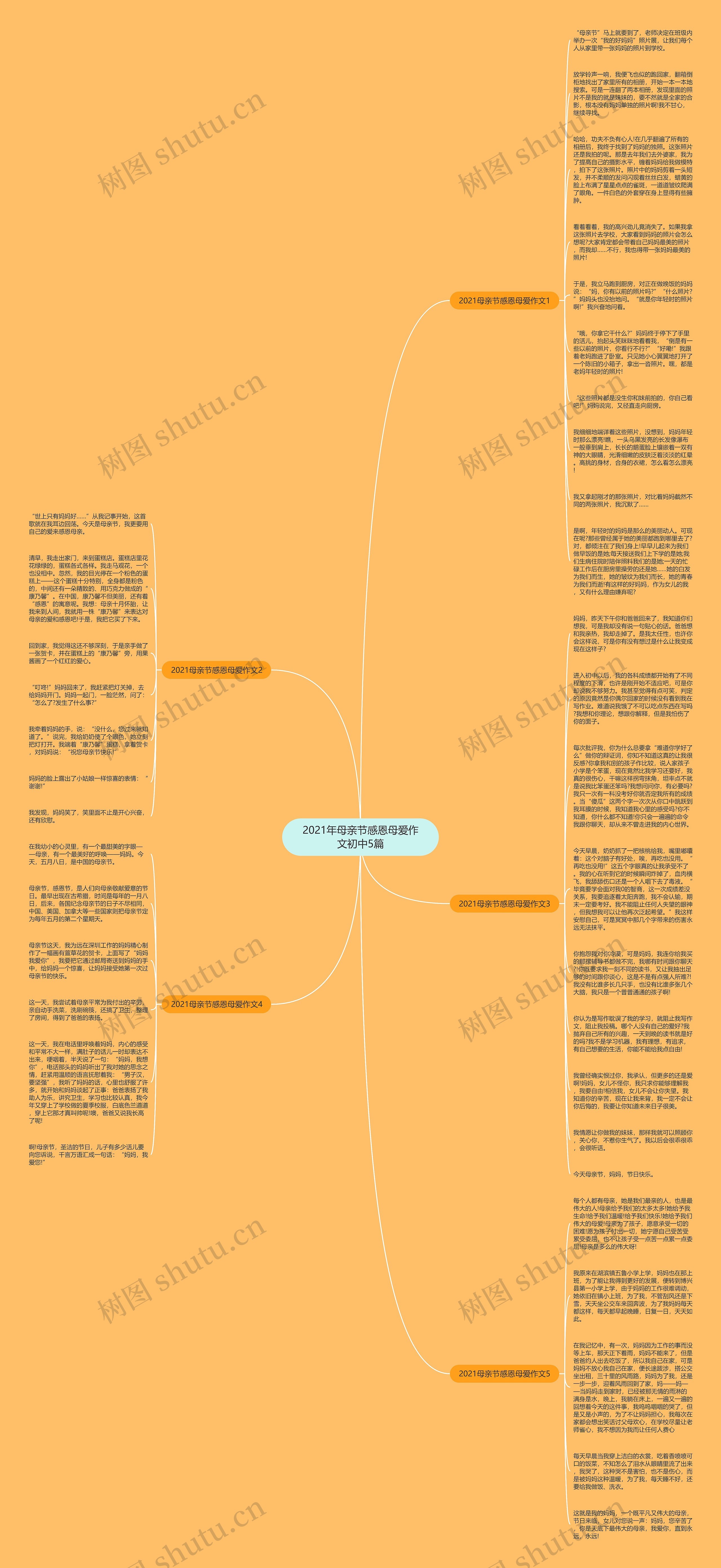 2021年母亲节感恩母爱作文初中5篇思维导图