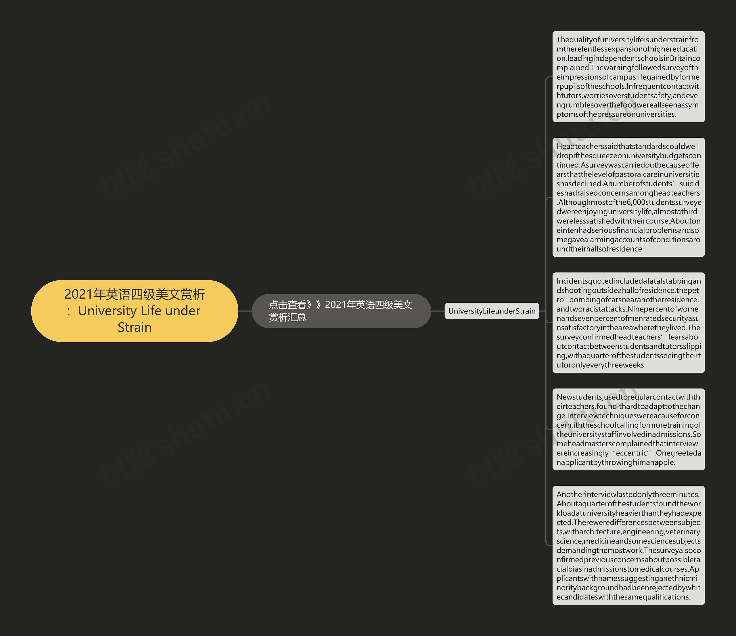 2021年英语四级美文赏析：University Life under Strain思维导图