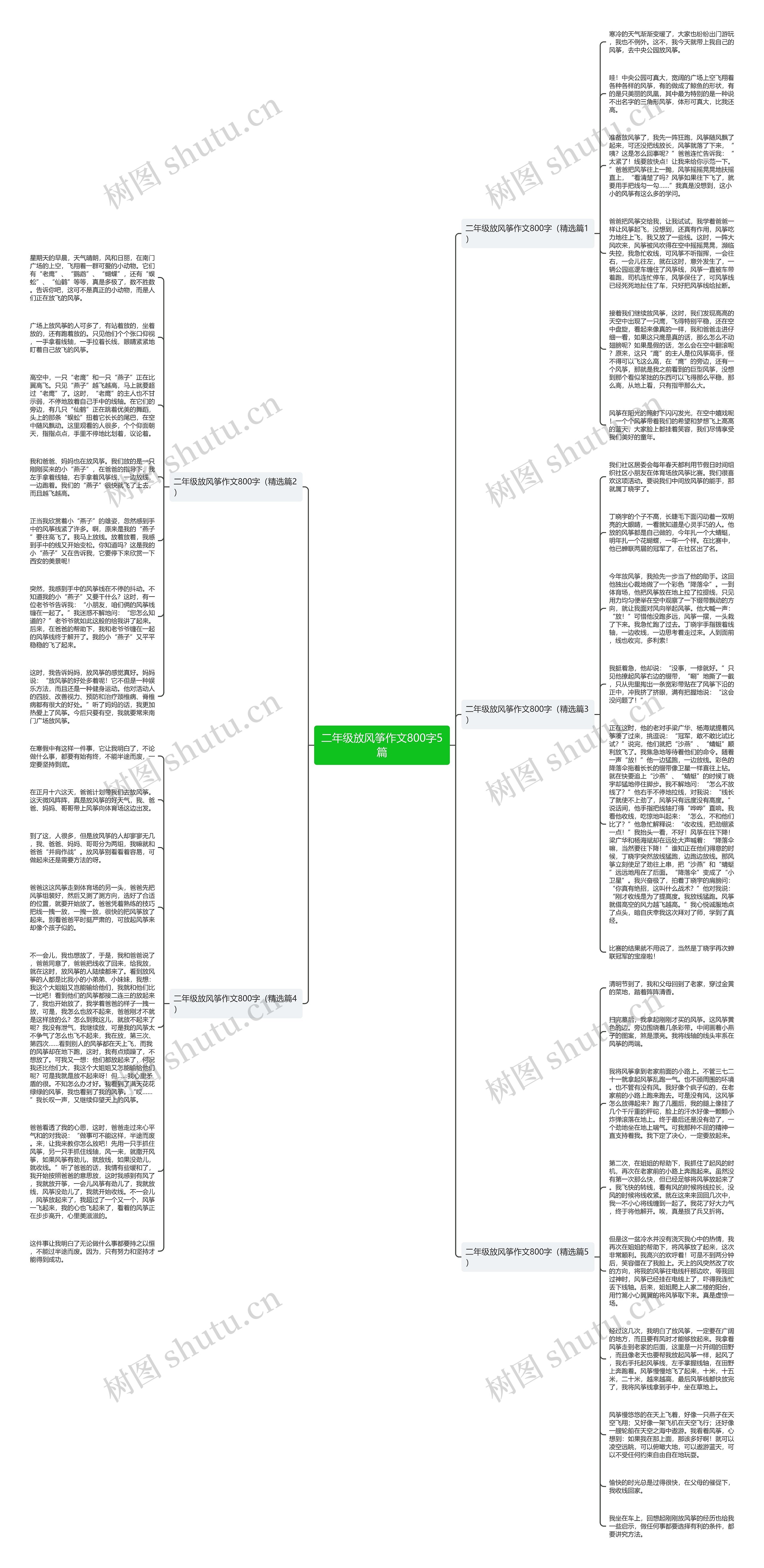 二年级放风筝作文800字5篇思维导图
