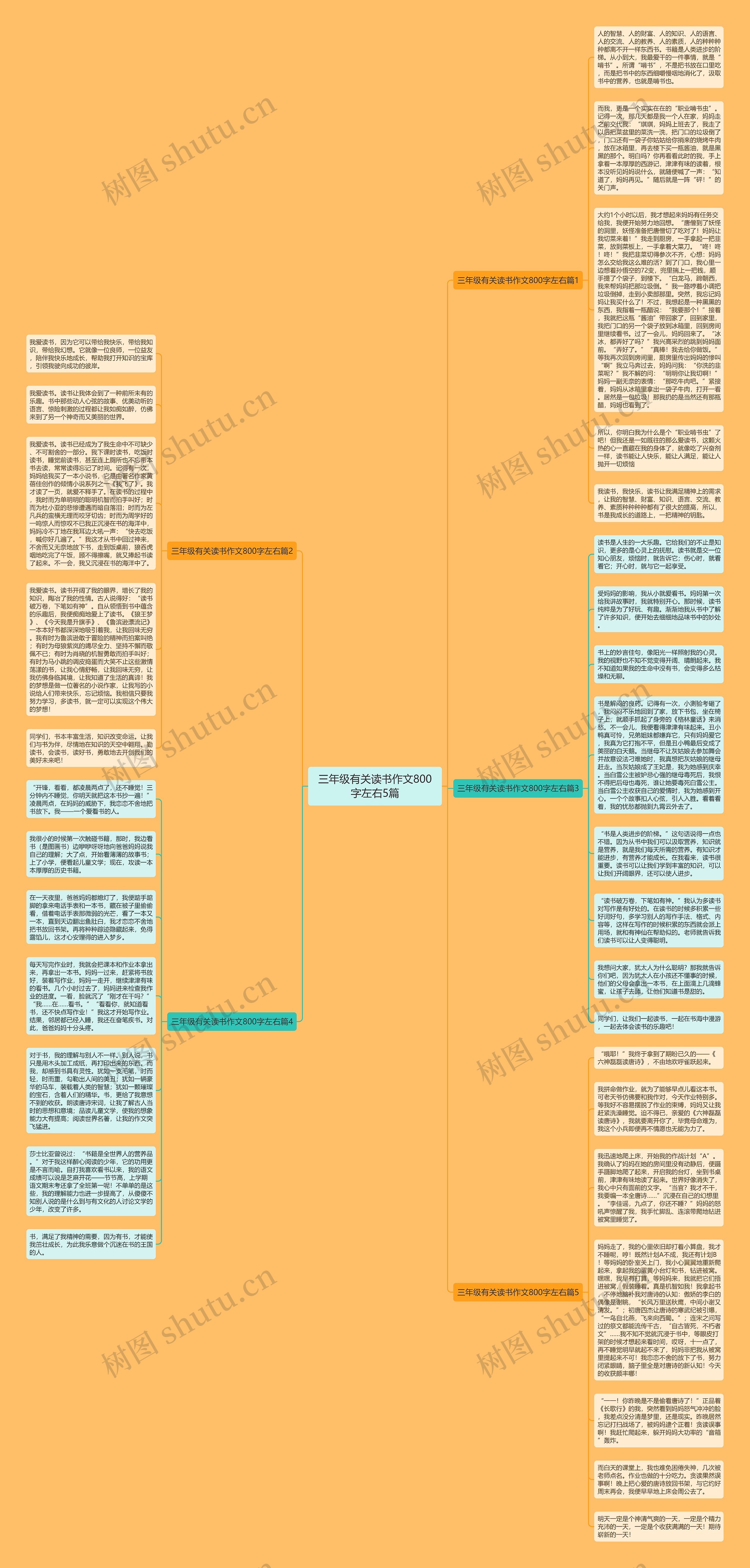 三年级有关读书作文800字左右5篇思维导图