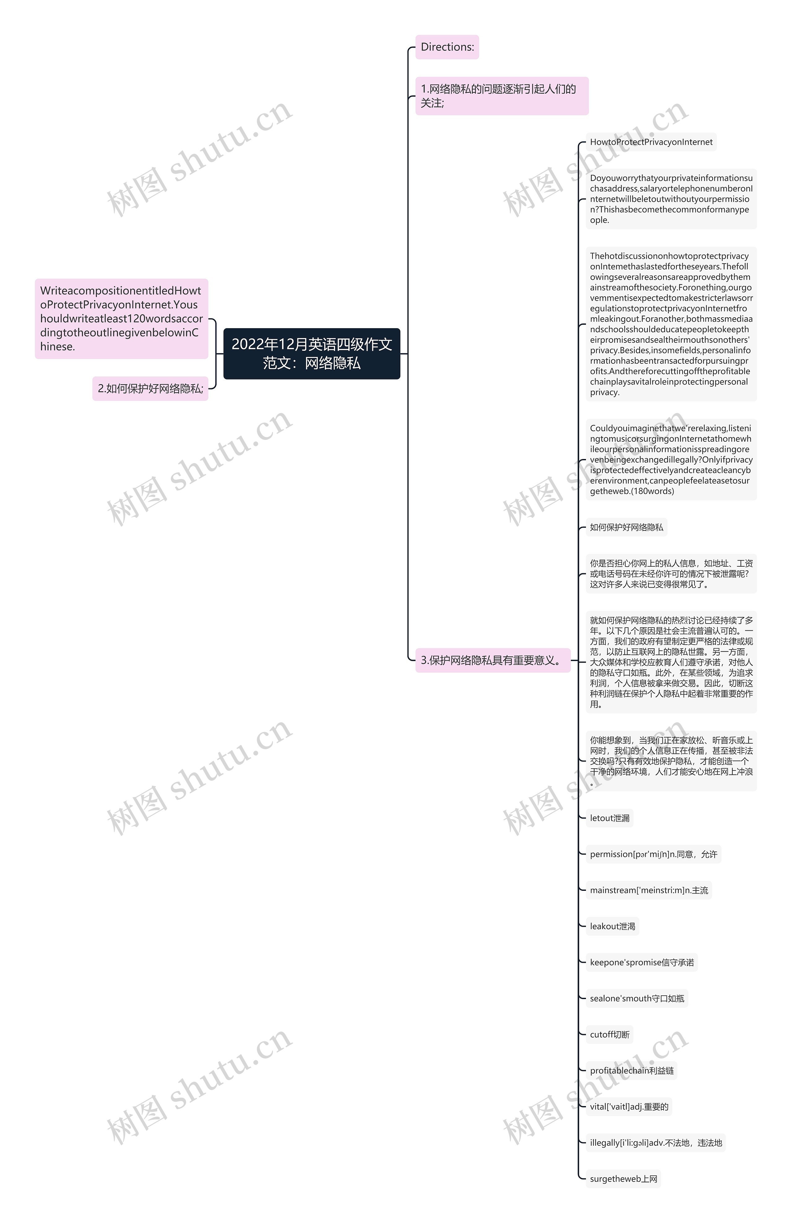 2022年12月英语四级作文范文：网络隐私思维导图