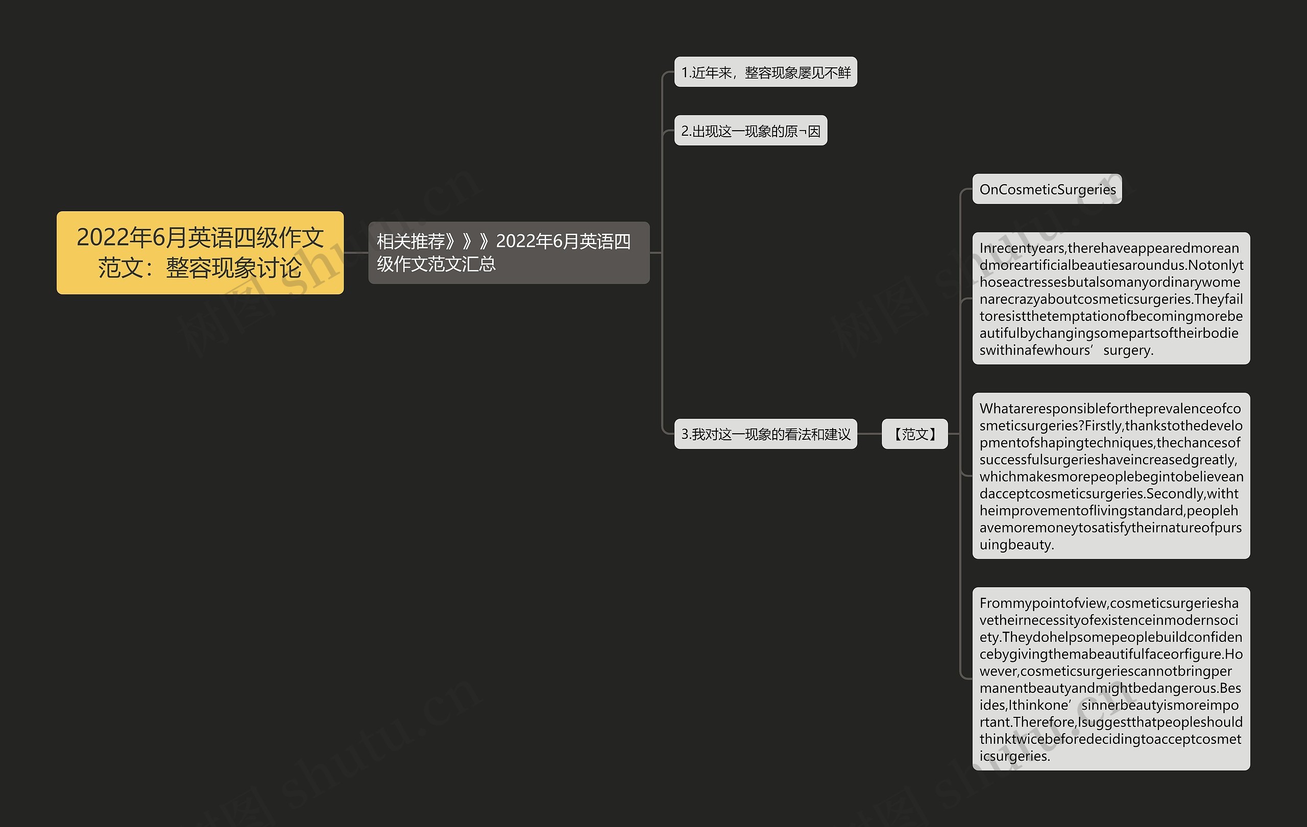 2022年6月英语四级作文范文：整容现象讨论思维导图