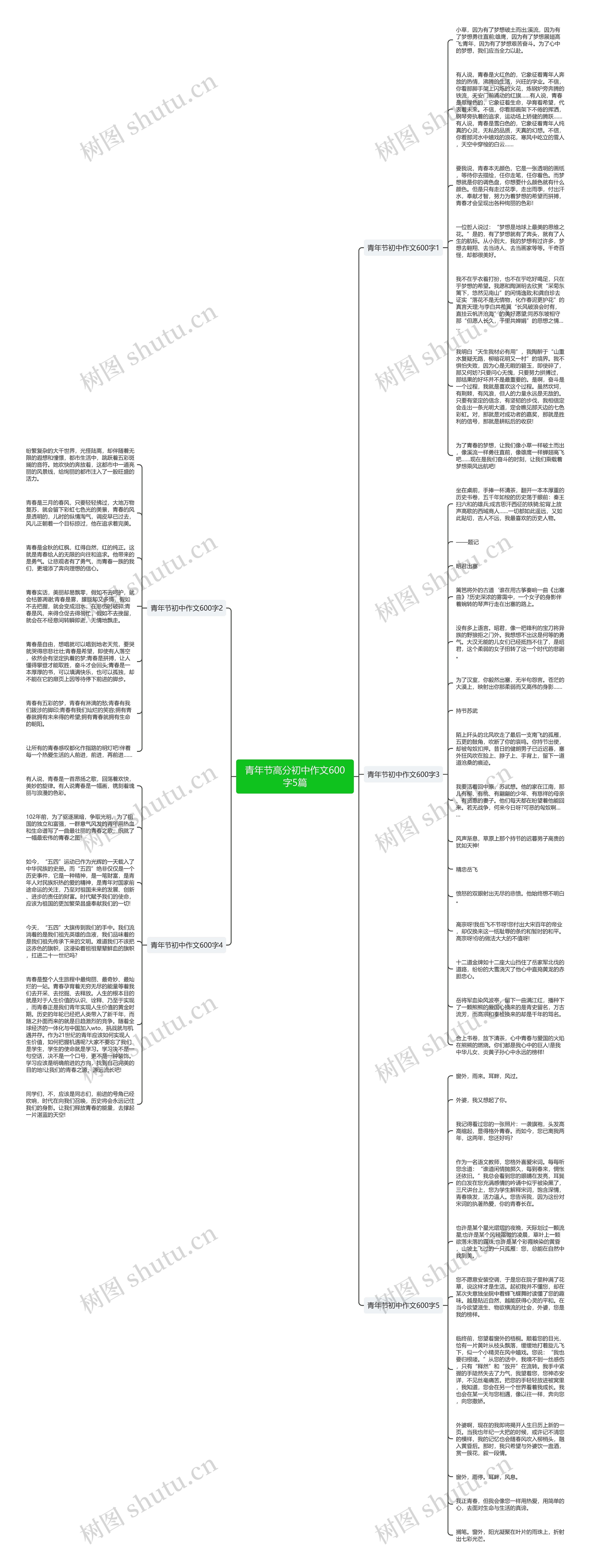 青年节高分初中作文600字5篇思维导图