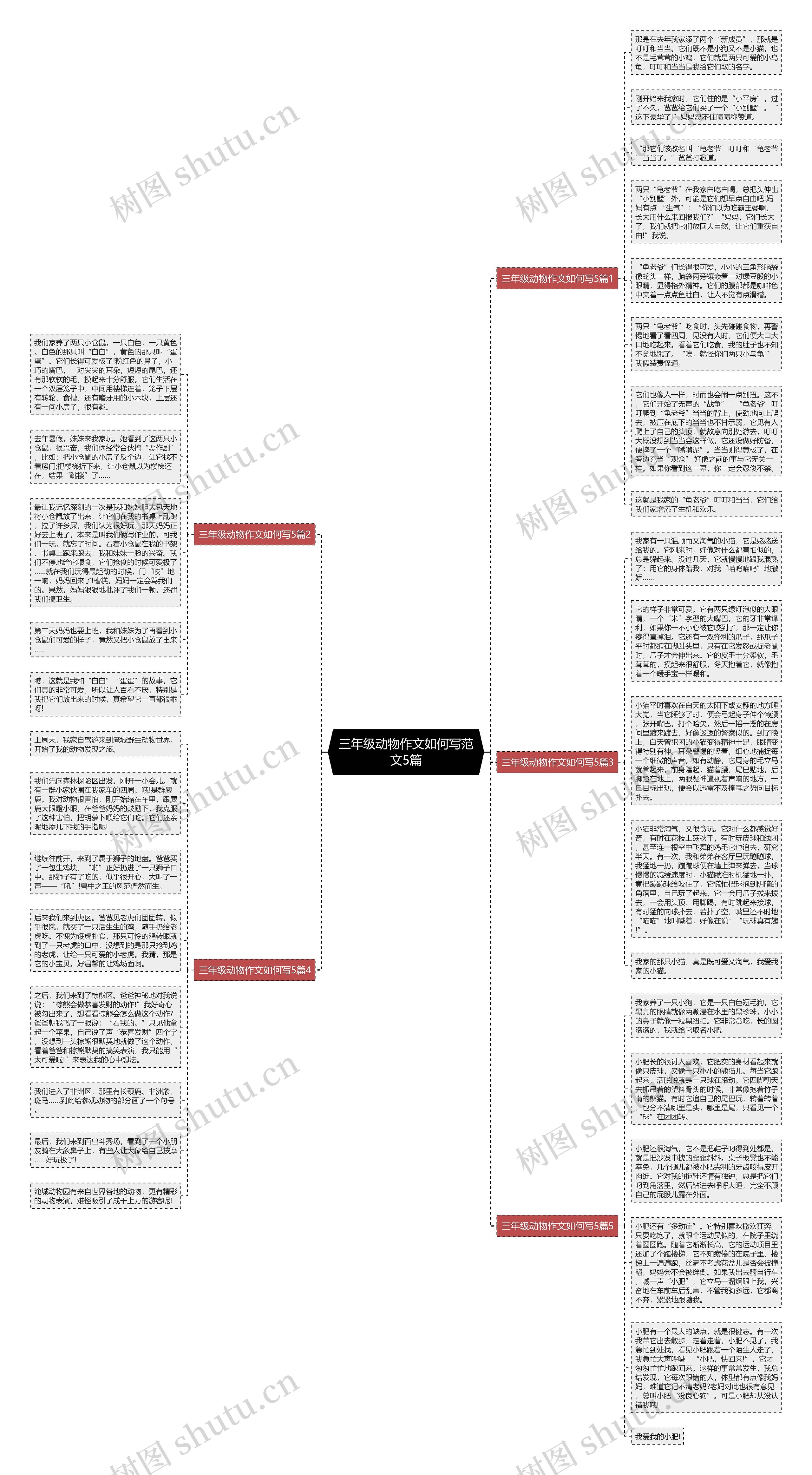 三年级动物作文如何写范文5篇思维导图