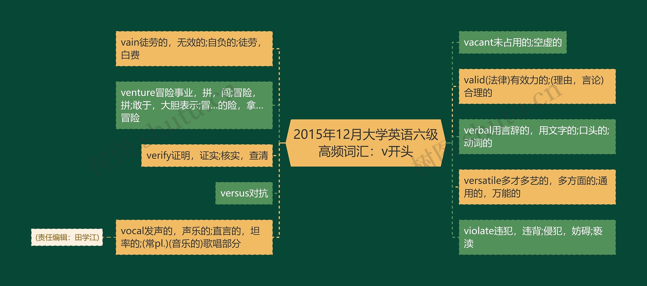 2015年12月大学英语六级高频词汇：v开头