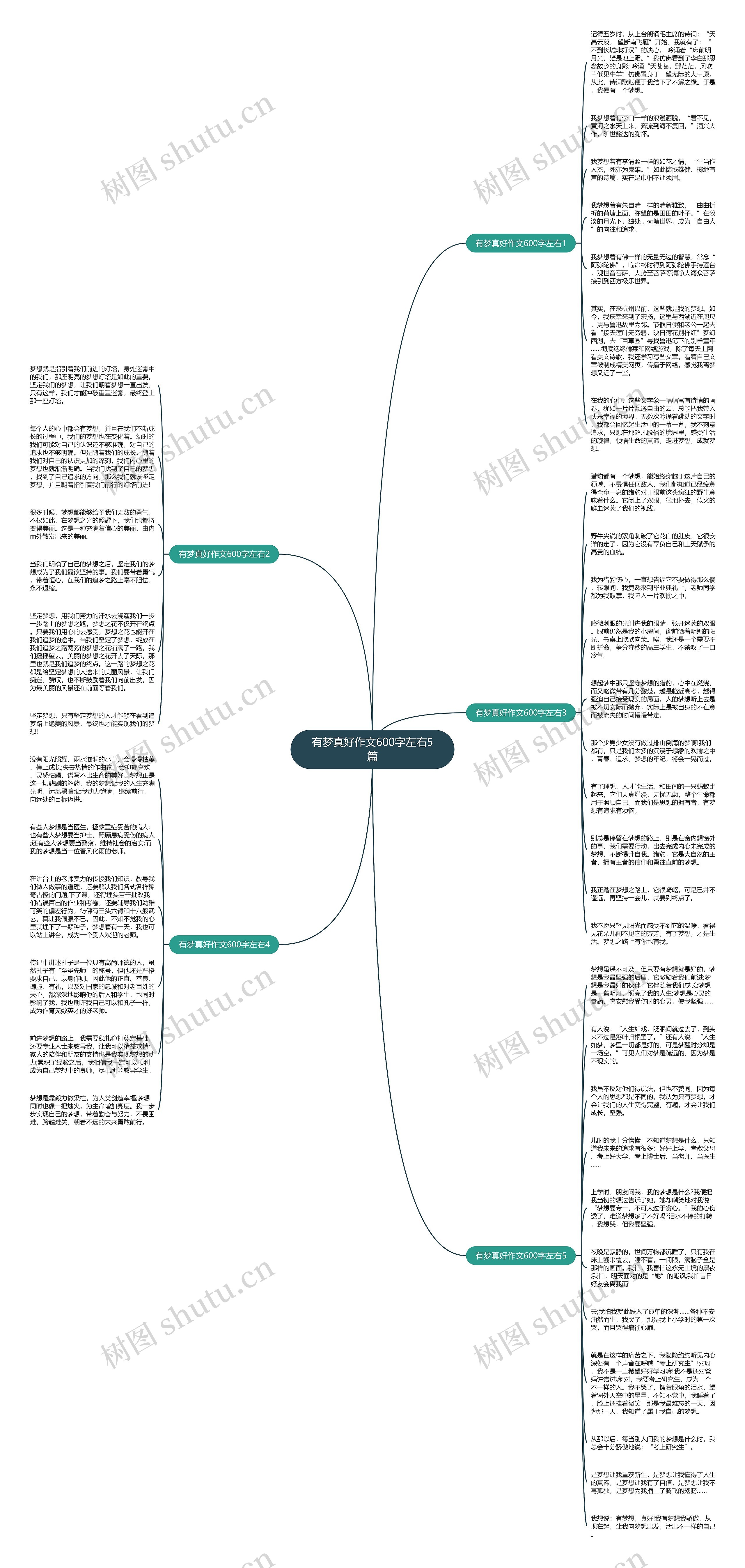 有梦真好作文600字左右5篇思维导图