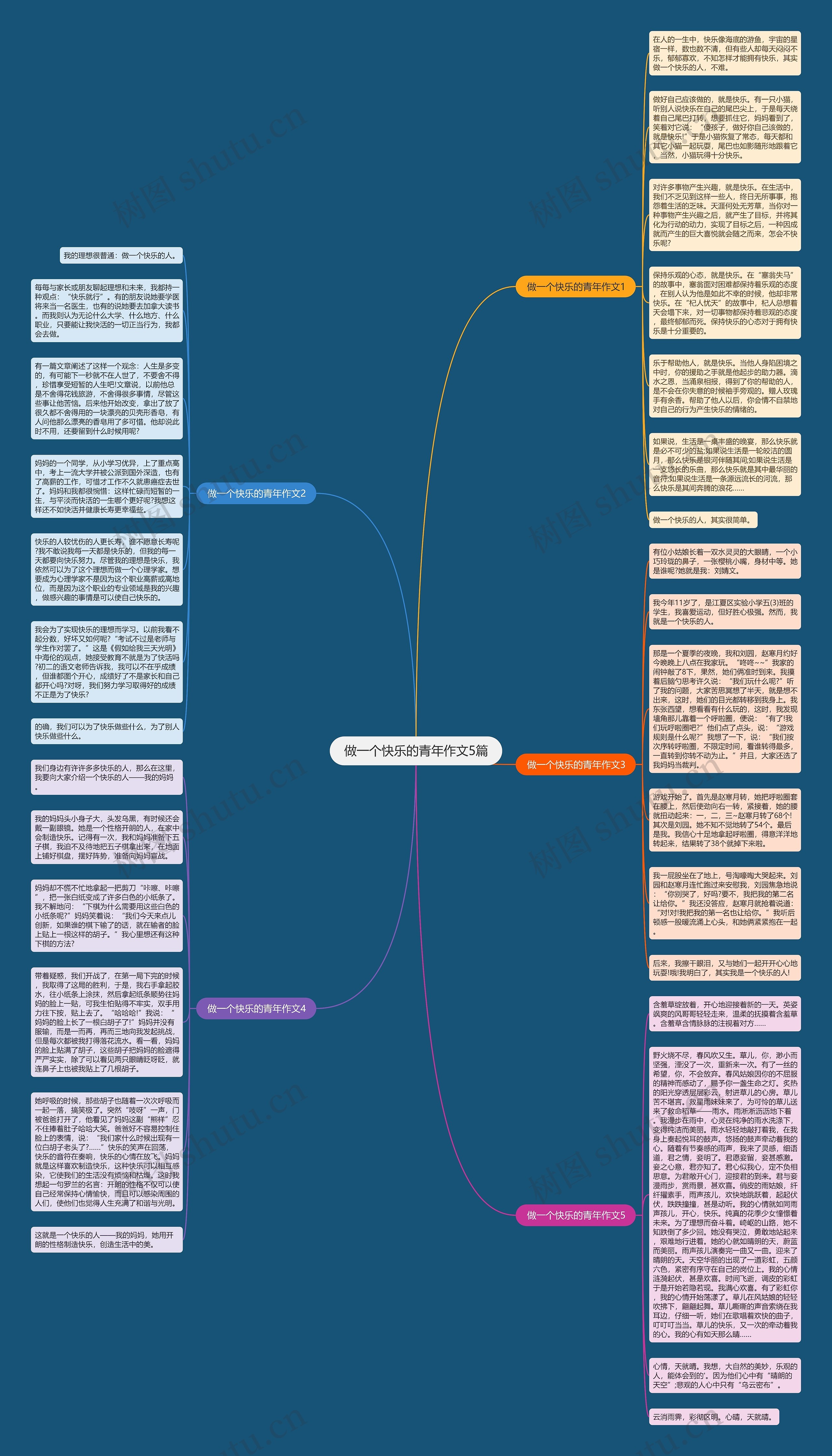 做一个快乐的青年作文5篇思维导图