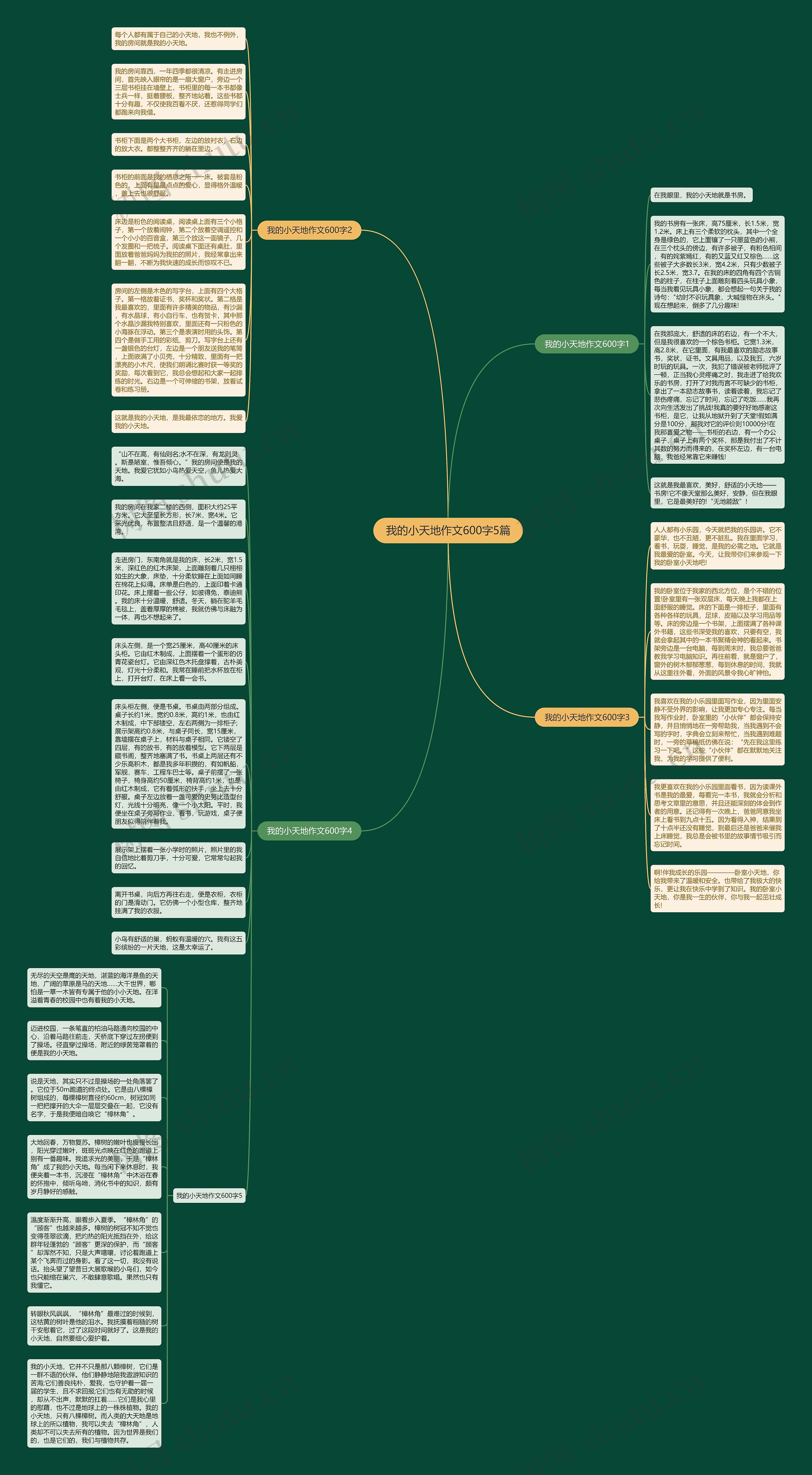 我的小天地作文600字5篇思维导图