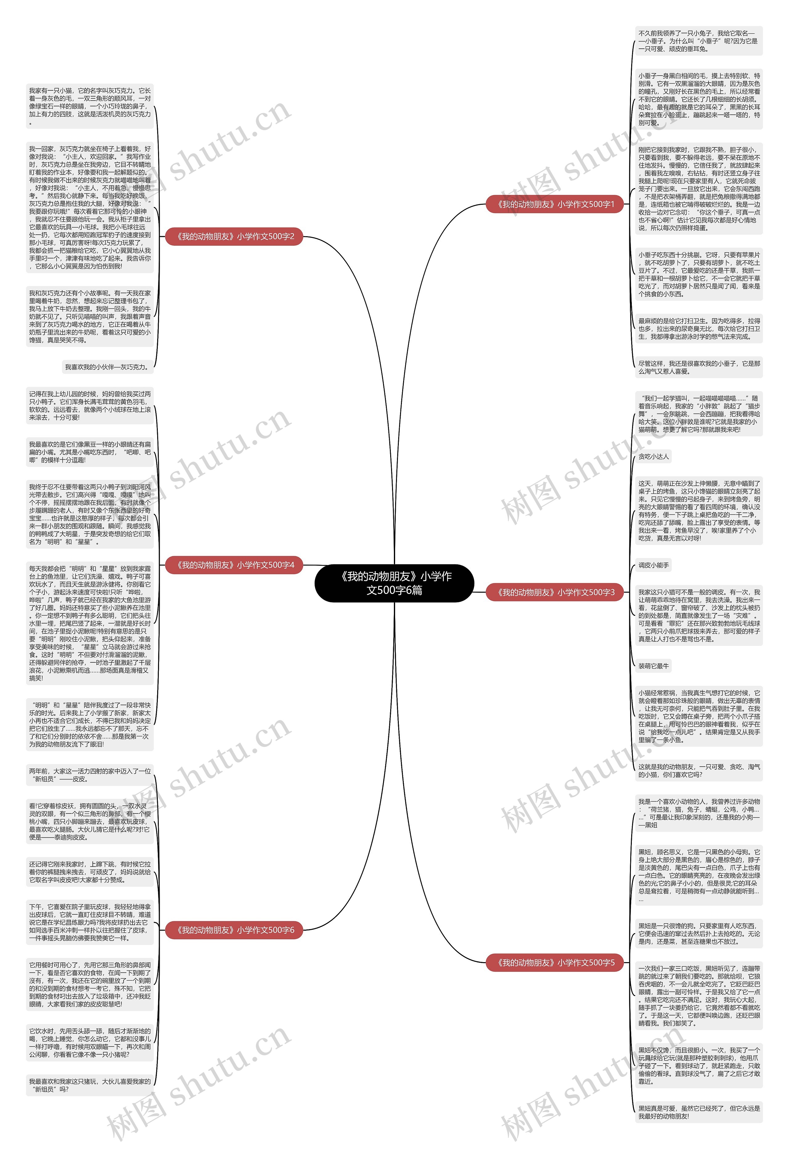 《我的动物朋友》小学作文500字6篇思维导图
