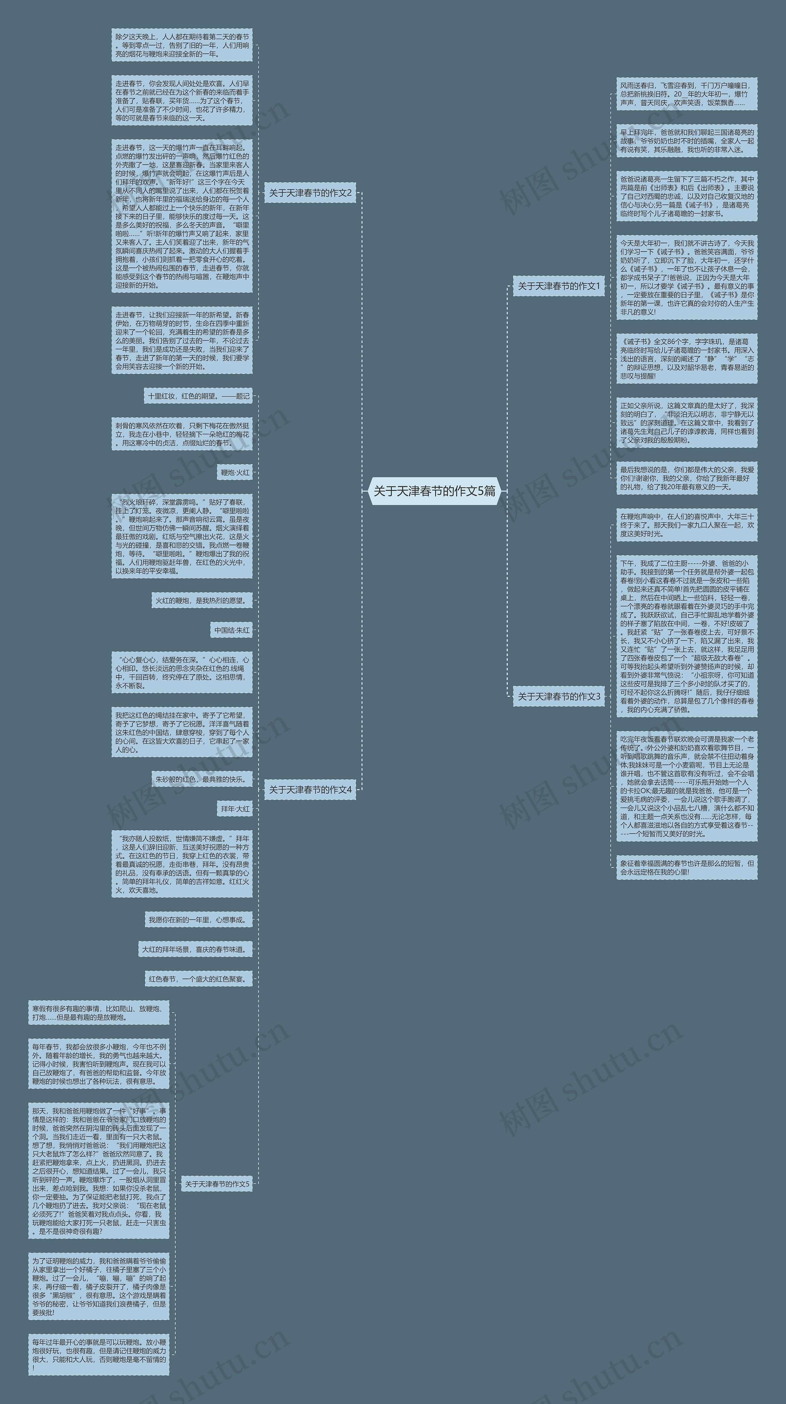 关于天津春节的作文5篇思维导图
