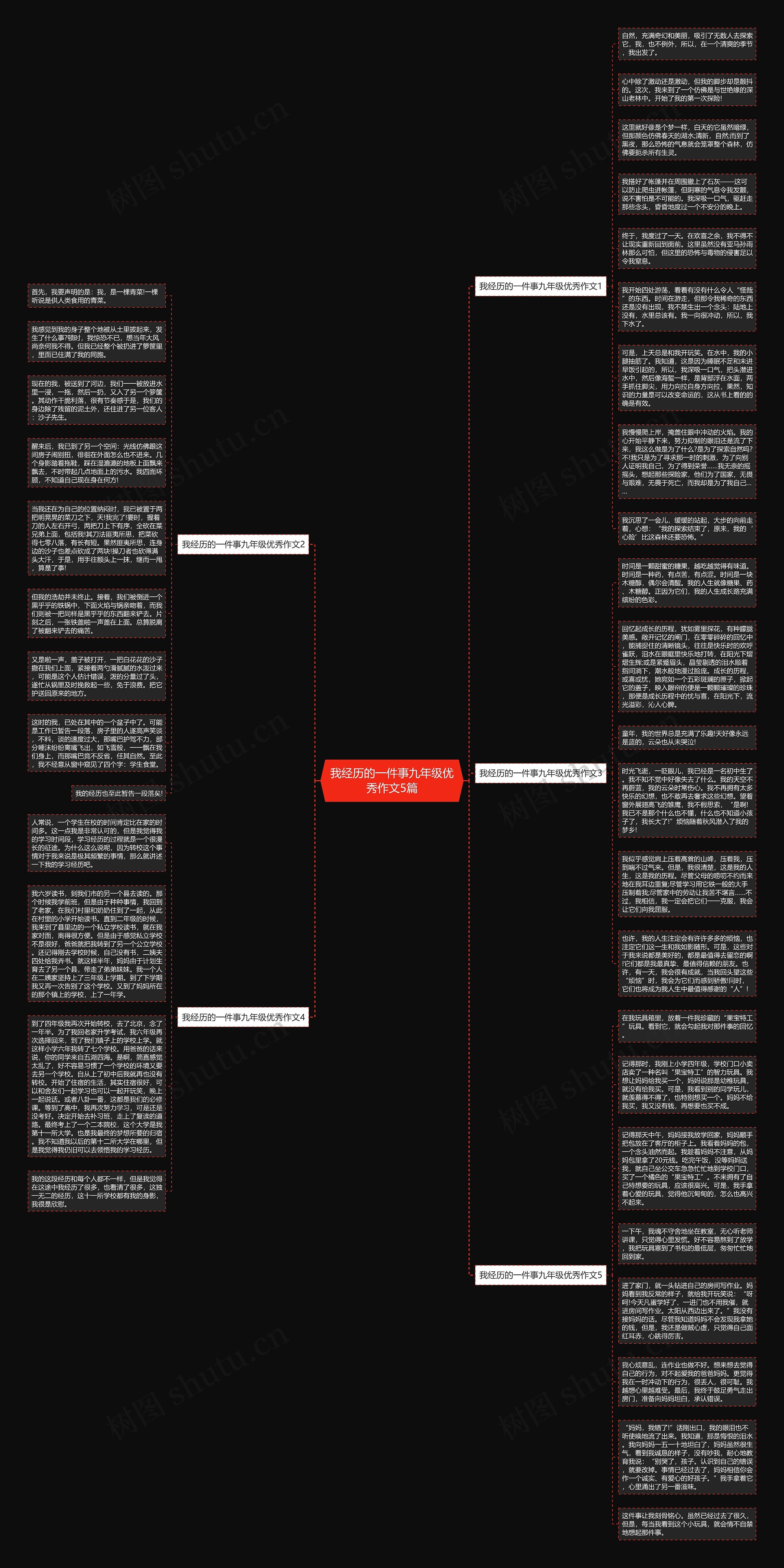我经历的一件事九年级优秀作文5篇思维导图