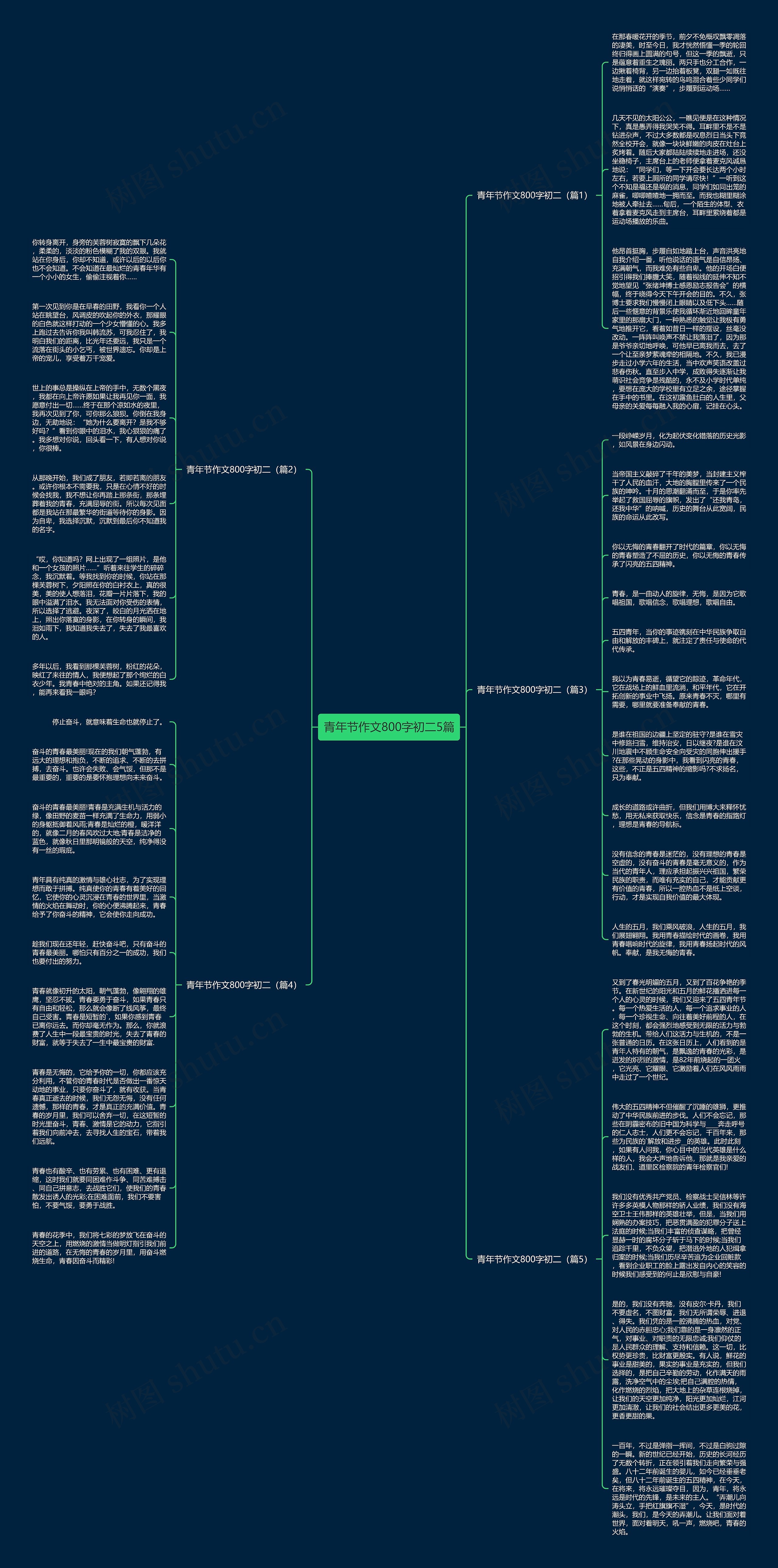 青年节作文800字初二5篇思维导图