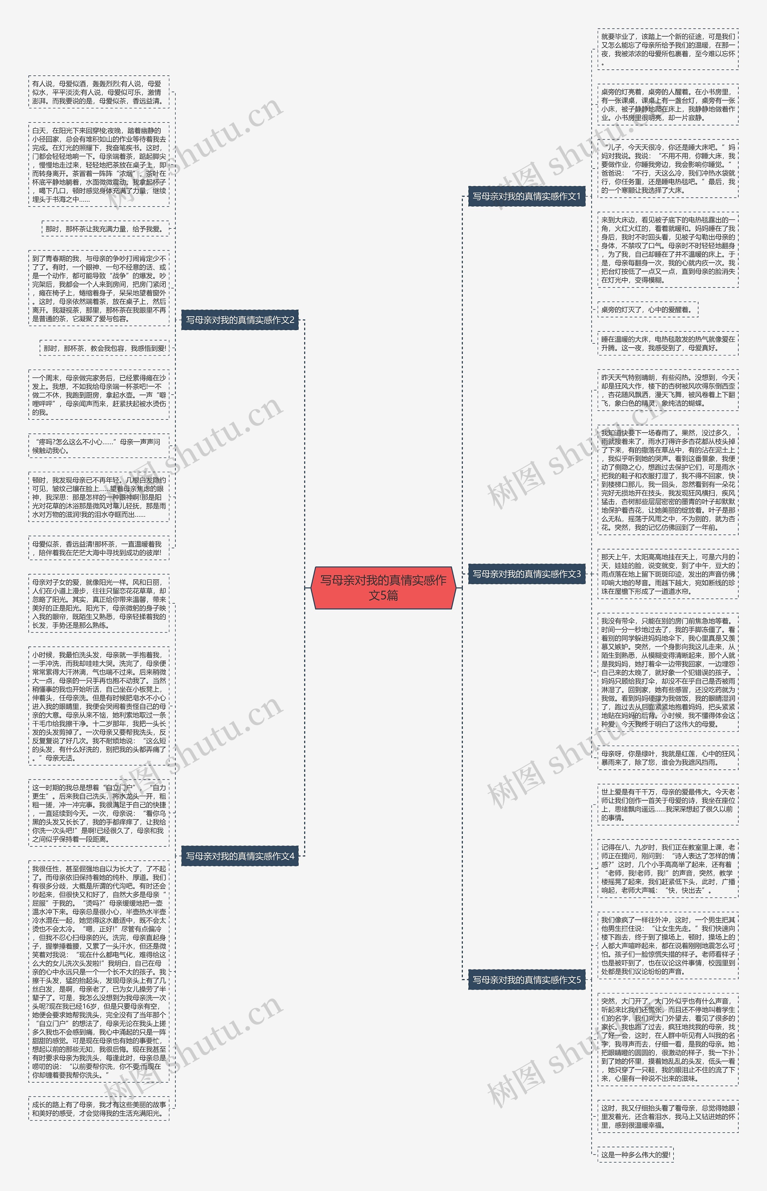 写母亲对我的真情实感作文5篇思维导图