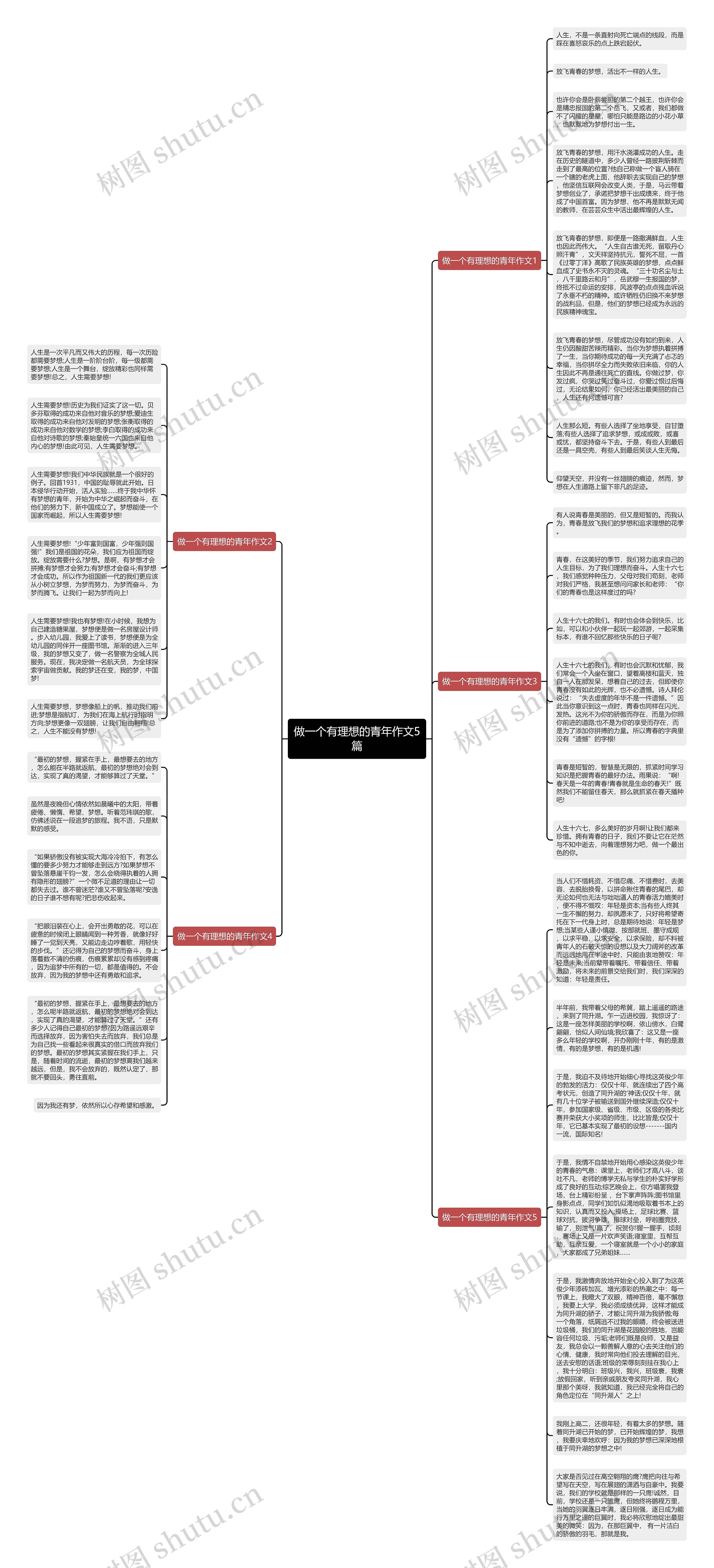 做一个有理想的青年作文5篇思维导图