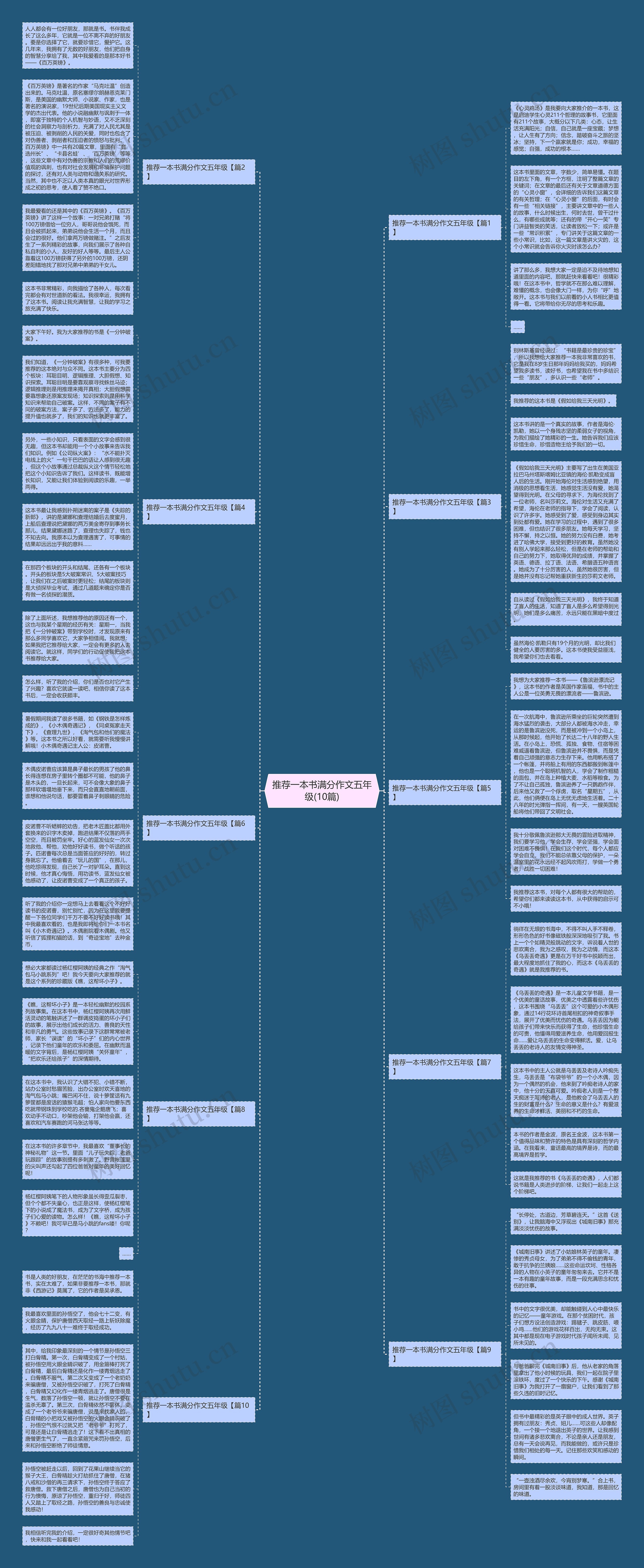 推荐一本书满分作文五年级(10篇)