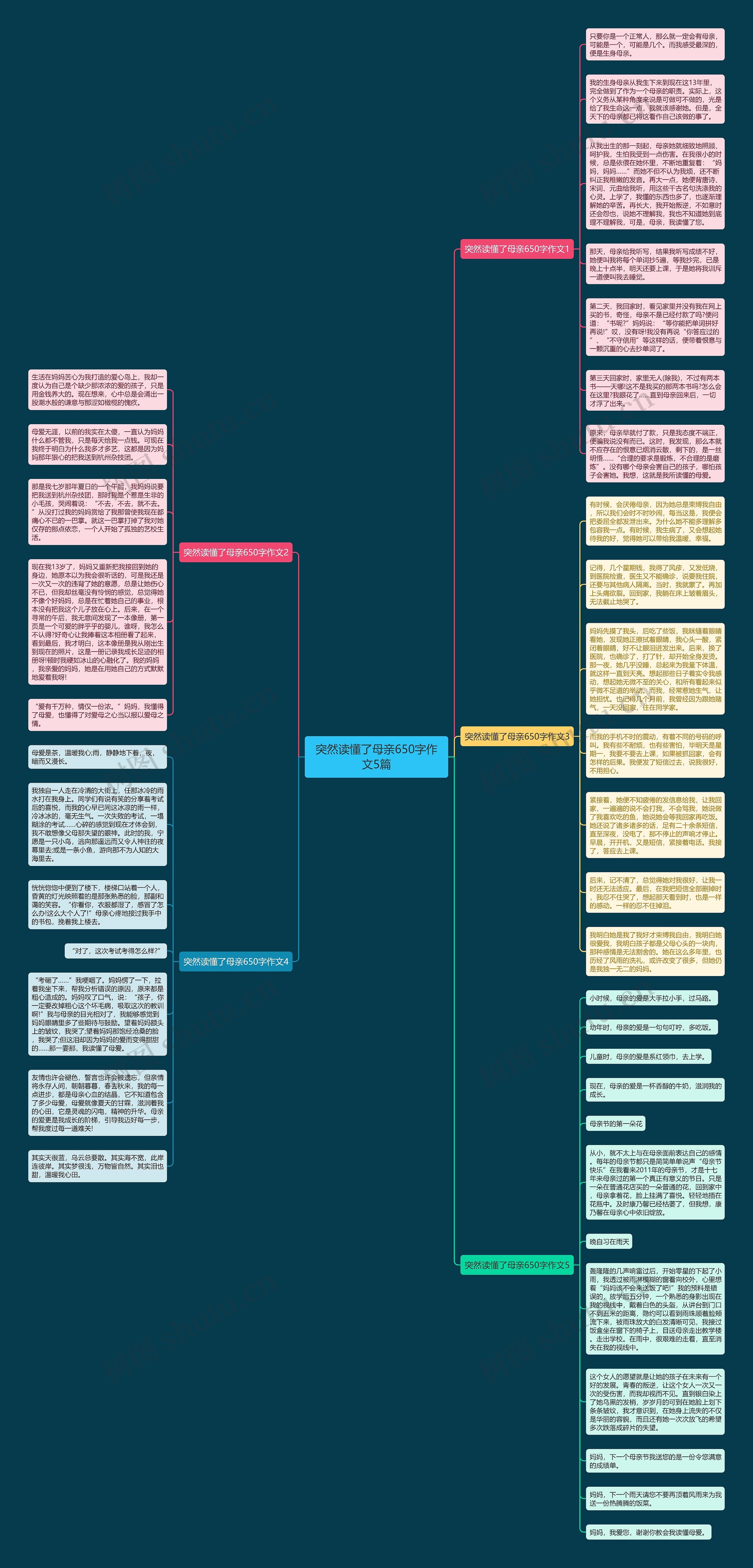 突然读懂了母亲650字作文5篇思维导图