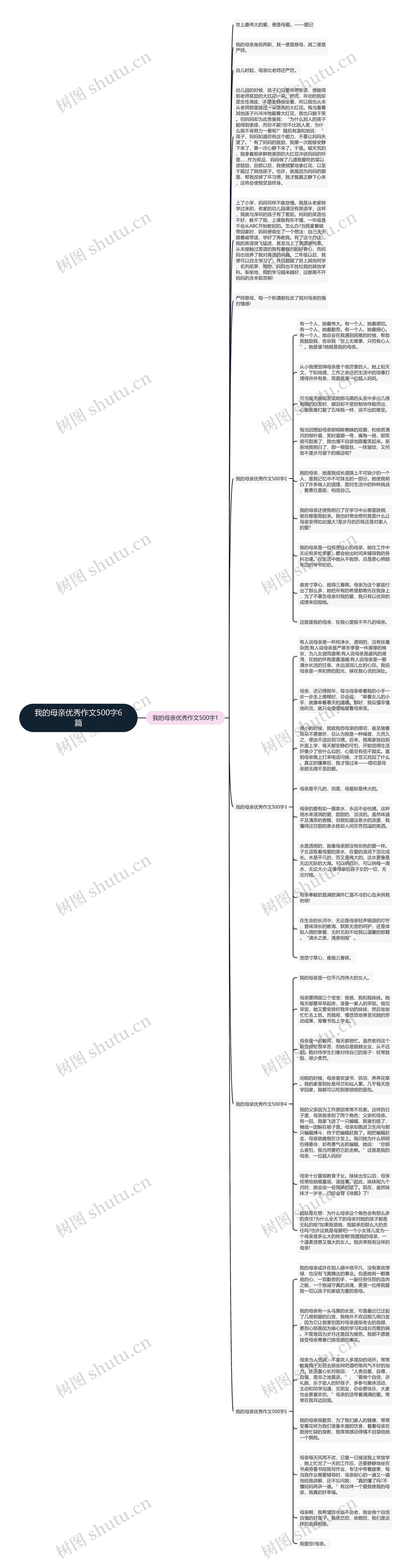 我的母亲优秀作文500字6篇思维导图