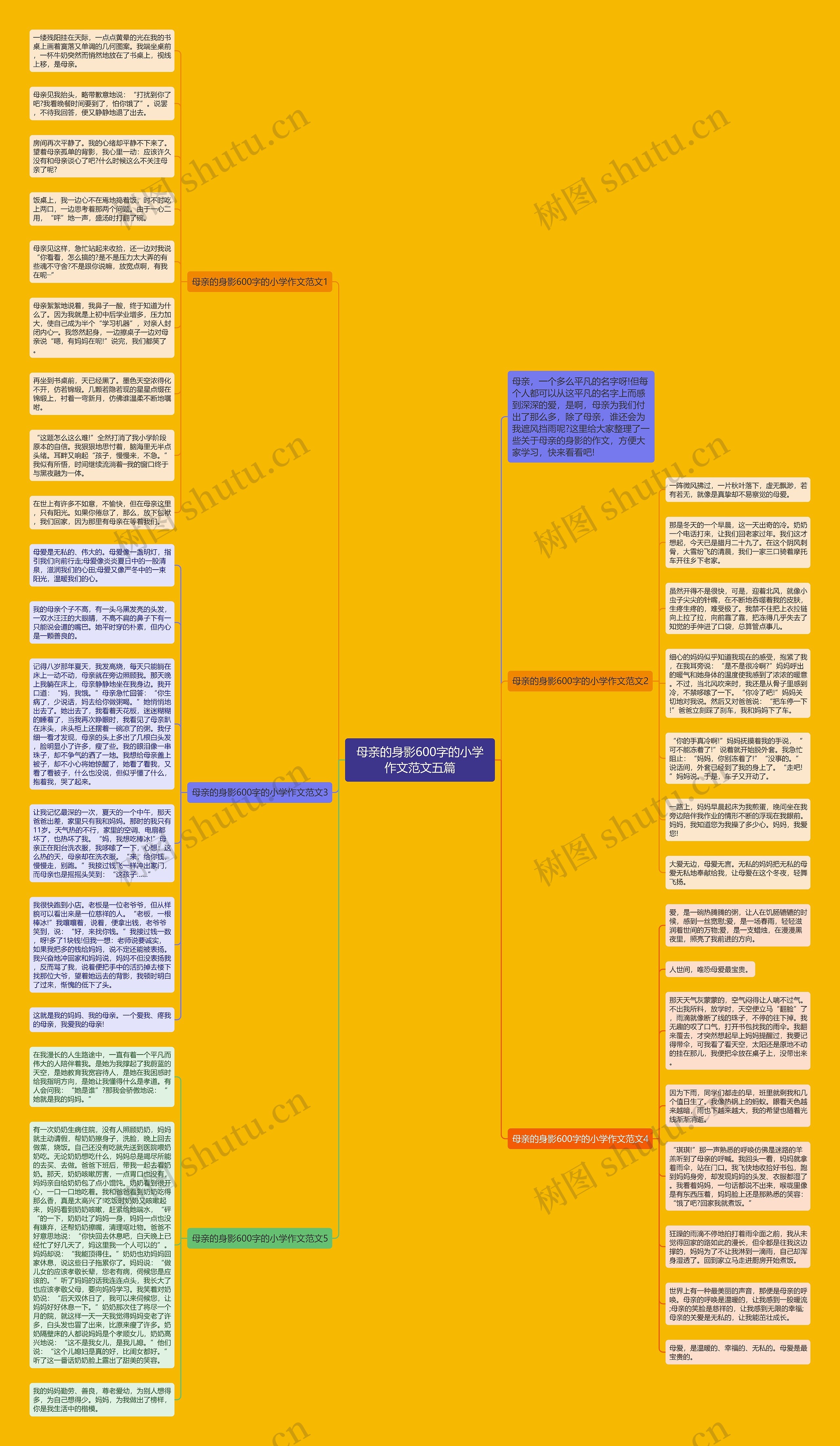 母亲的身影600字的小学作文范文五篇思维导图