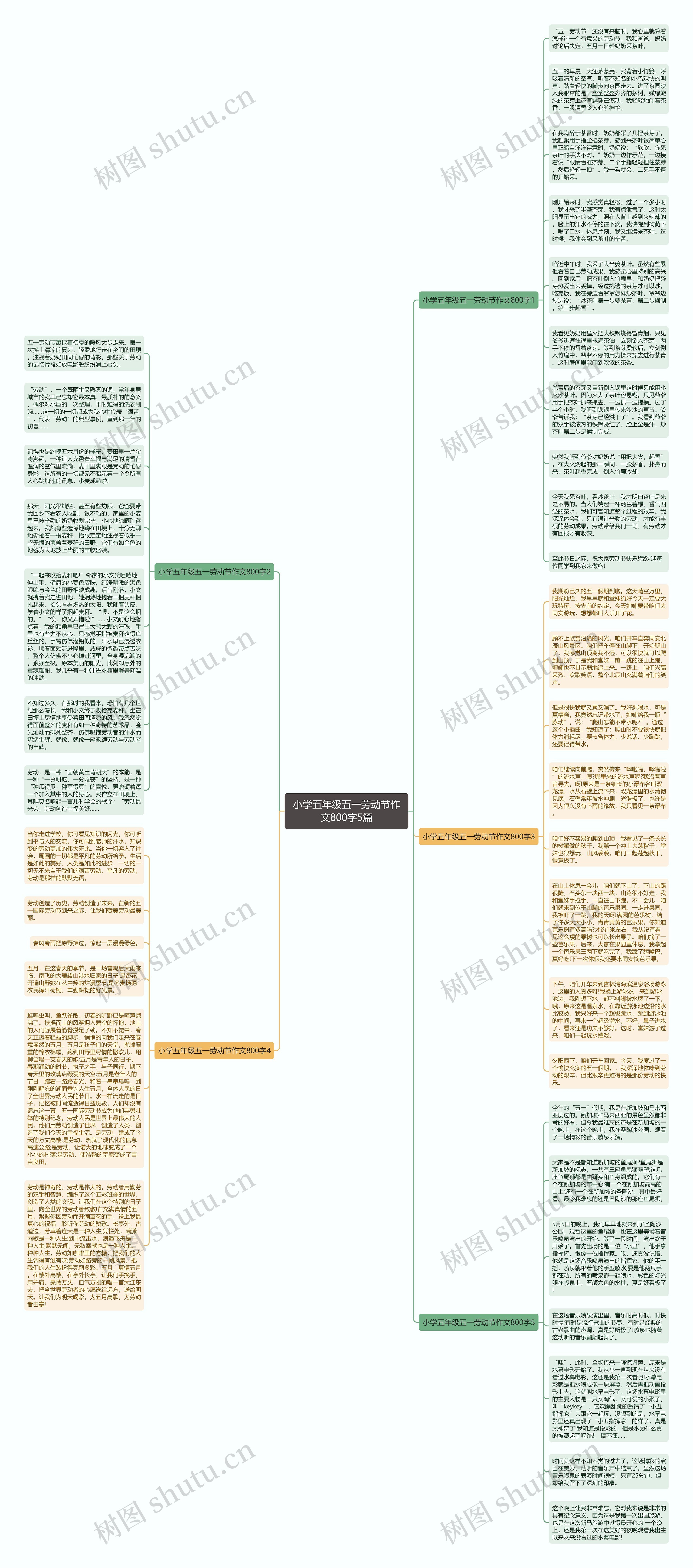 小学五年级五一劳动节作文800字5篇思维导图