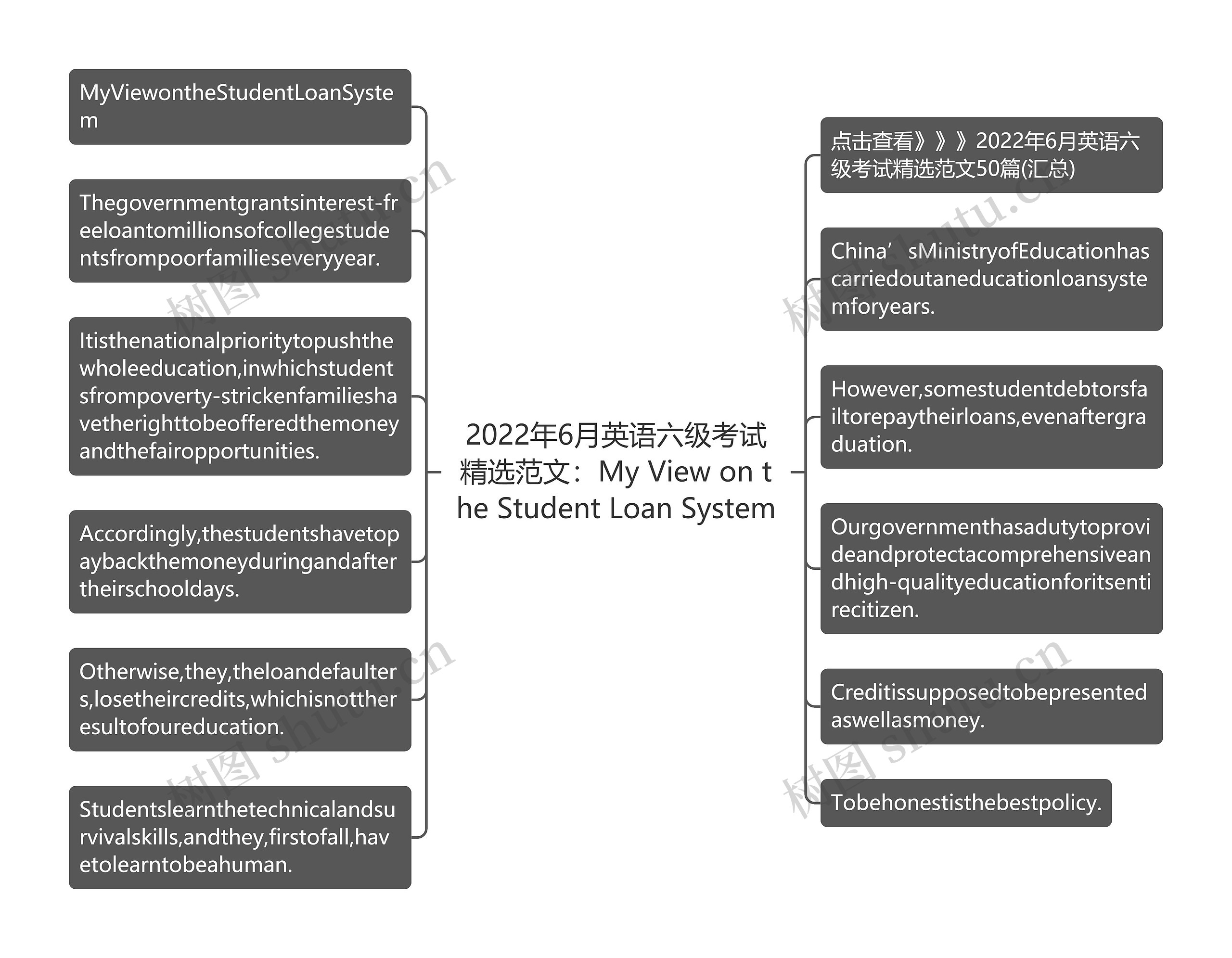 2022年6月英语六级考试精选范文：My View on the Student Loan System思维导图