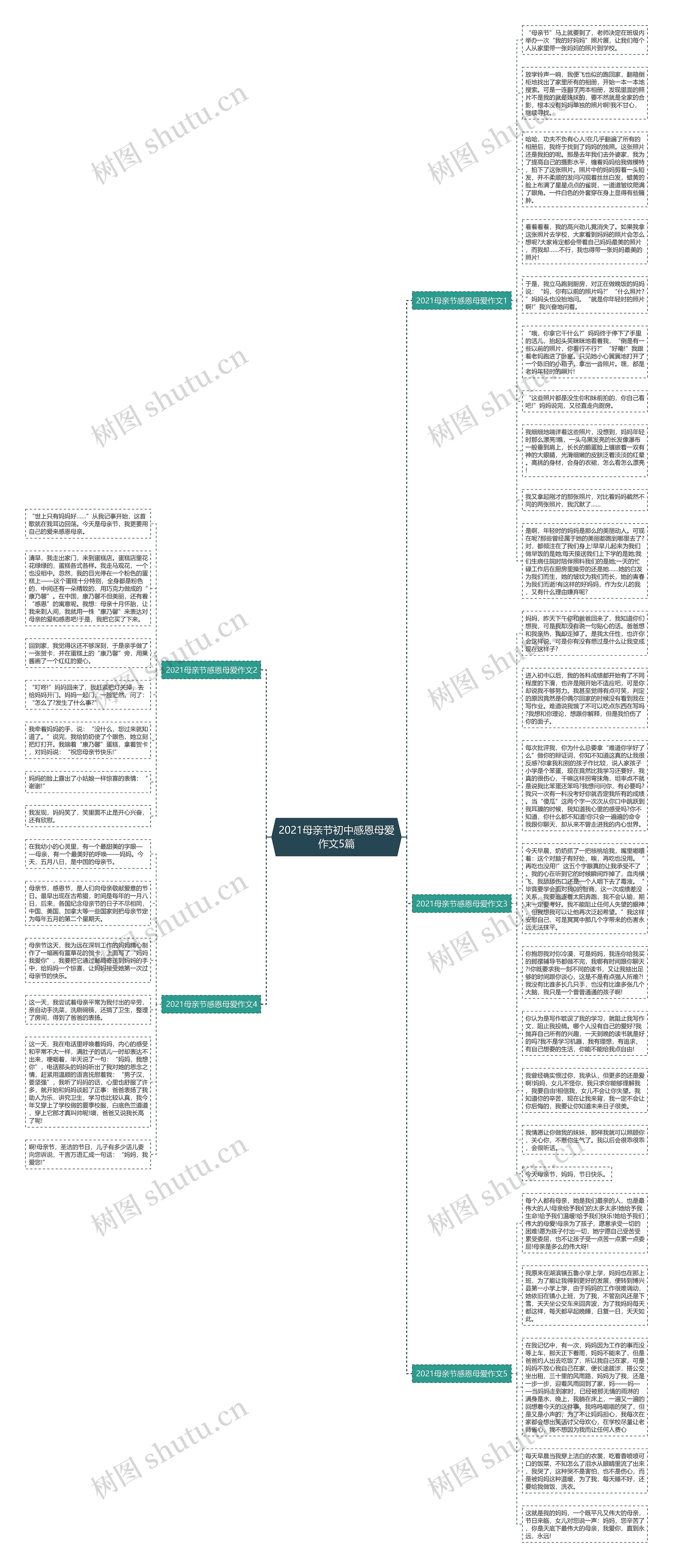 2021母亲节初中感恩母爱作文5篇思维导图