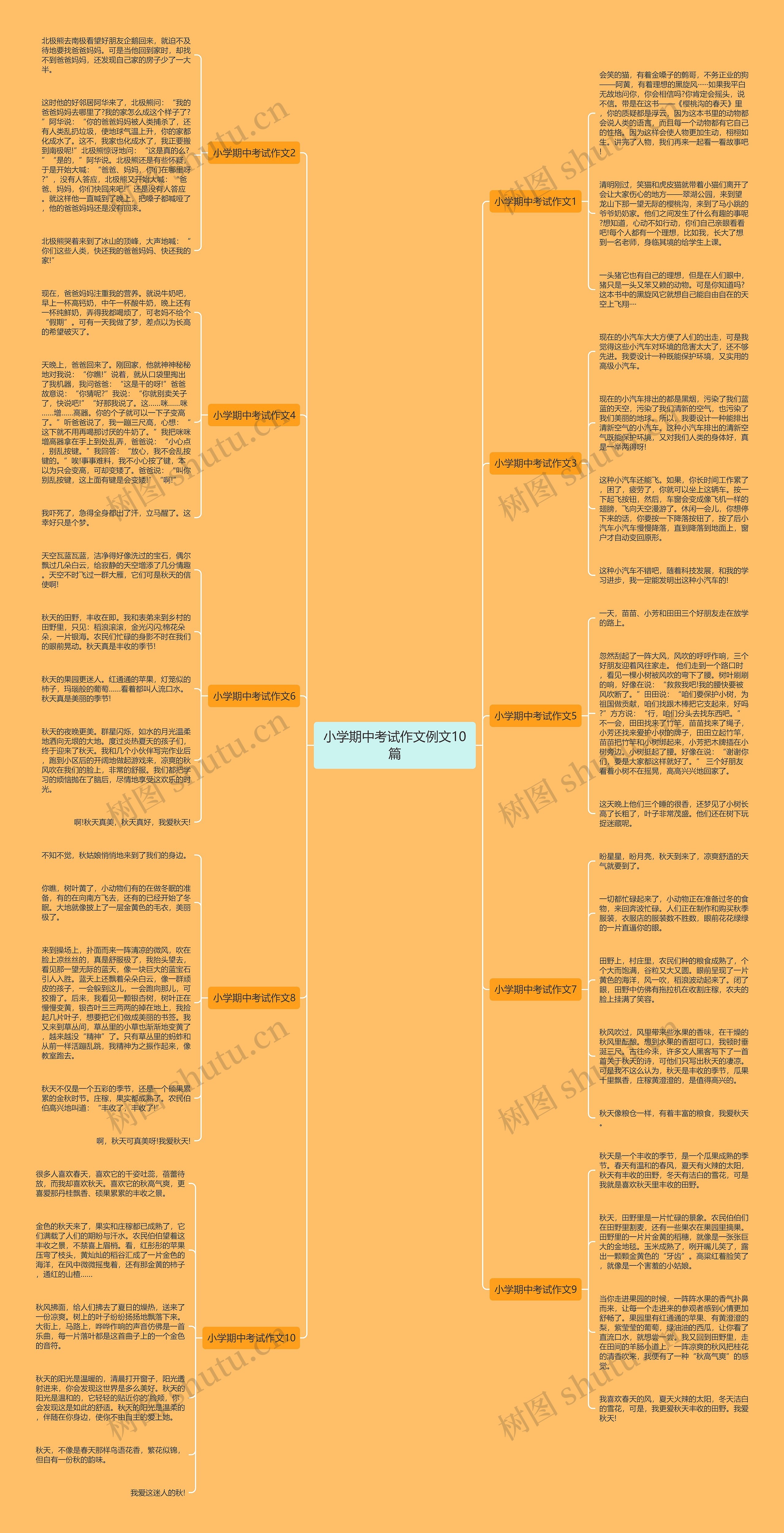 小学期中考试作文例文10篇思维导图