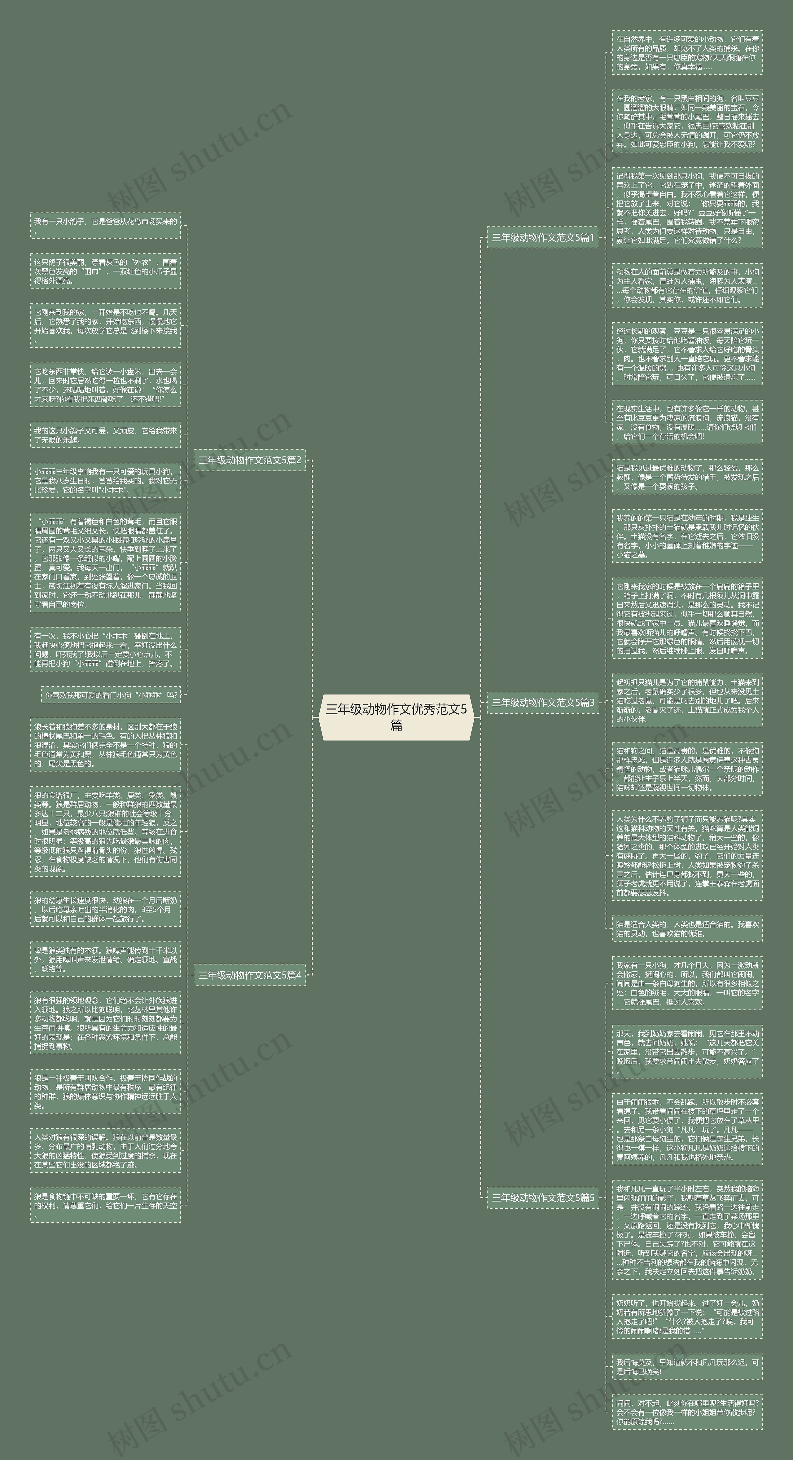 三年级动物作文优秀范文5篇思维导图