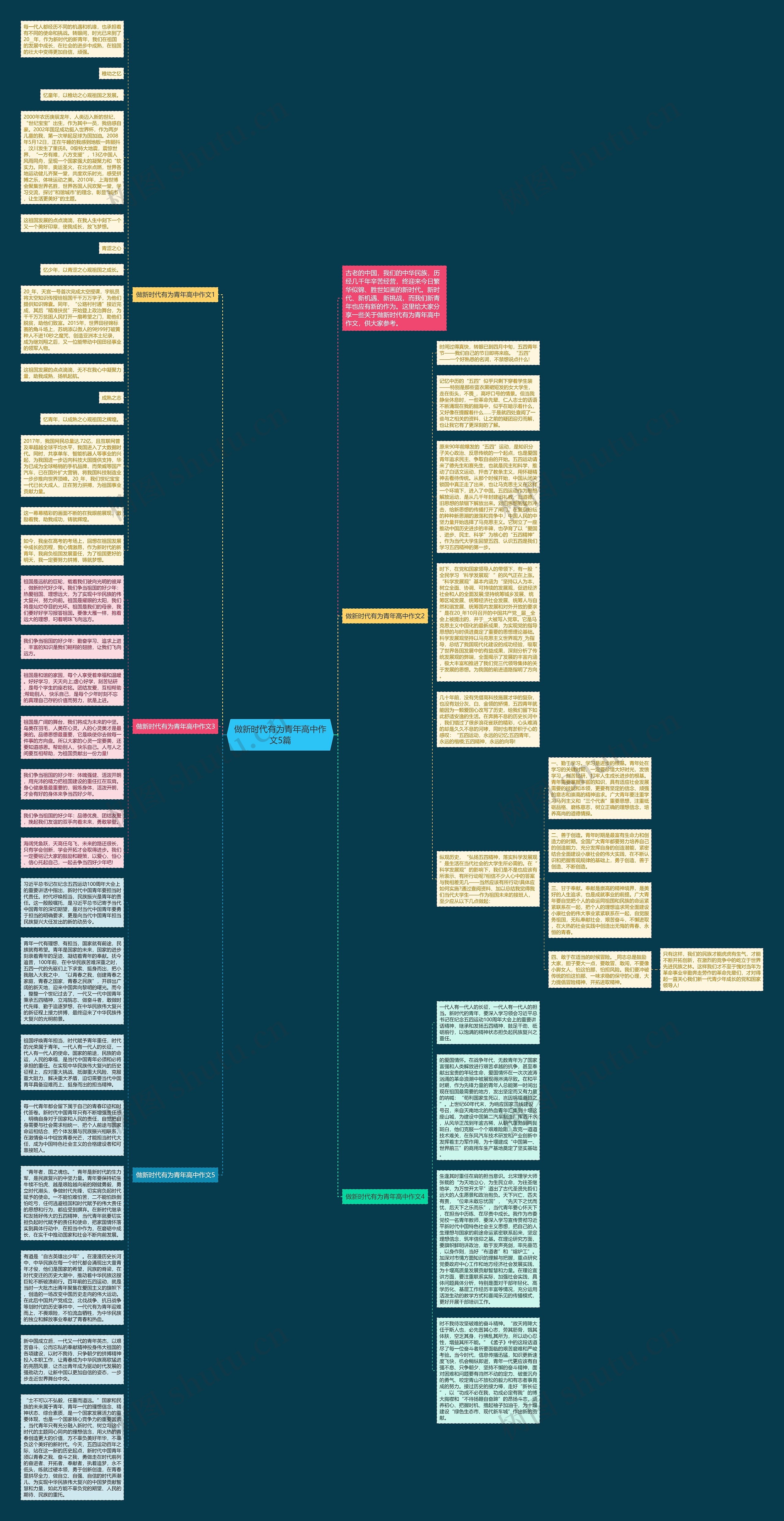 做新时代有为青年高中作文5篇思维导图