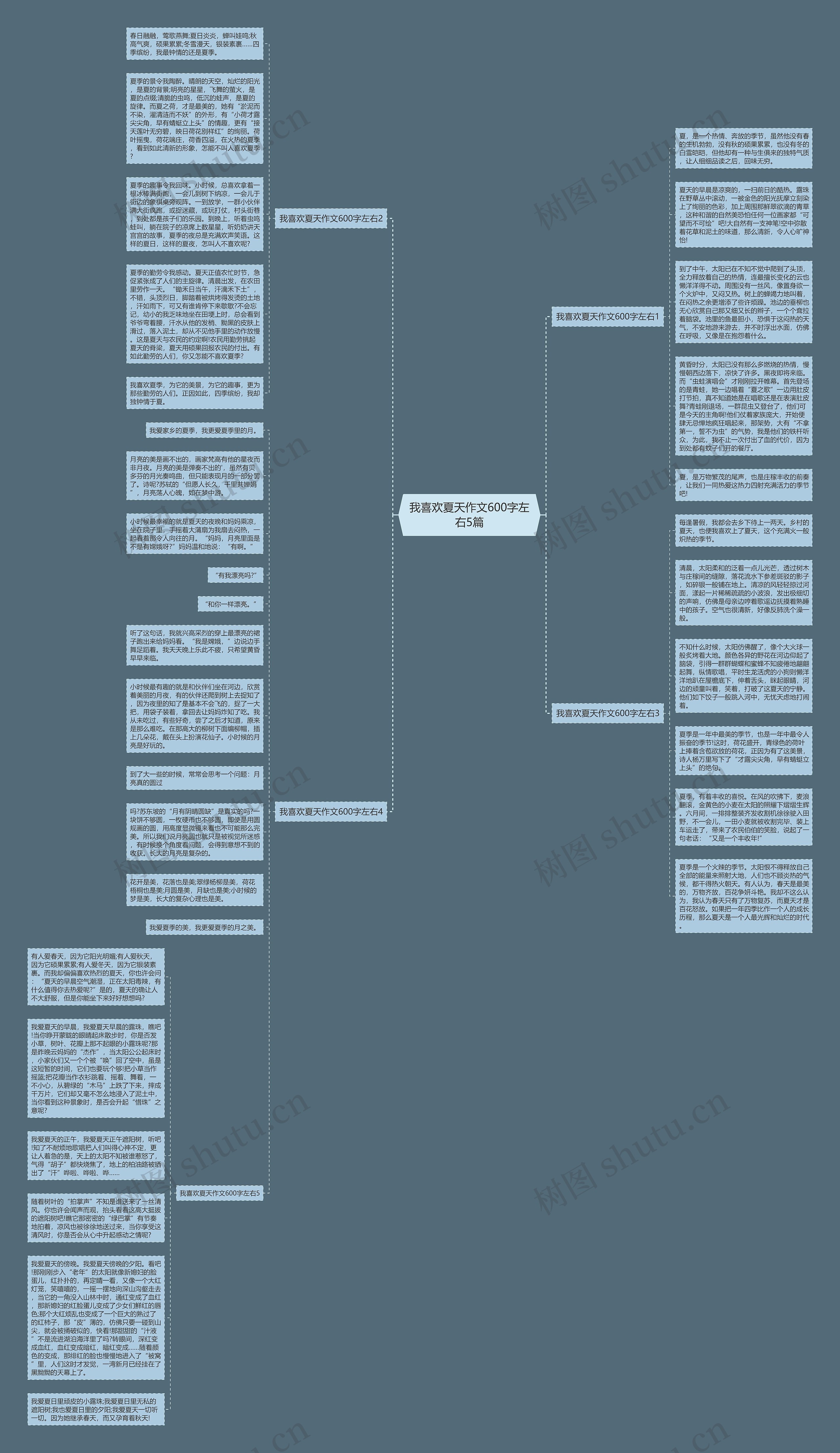 我喜欢夏天作文600字左右5篇思维导图