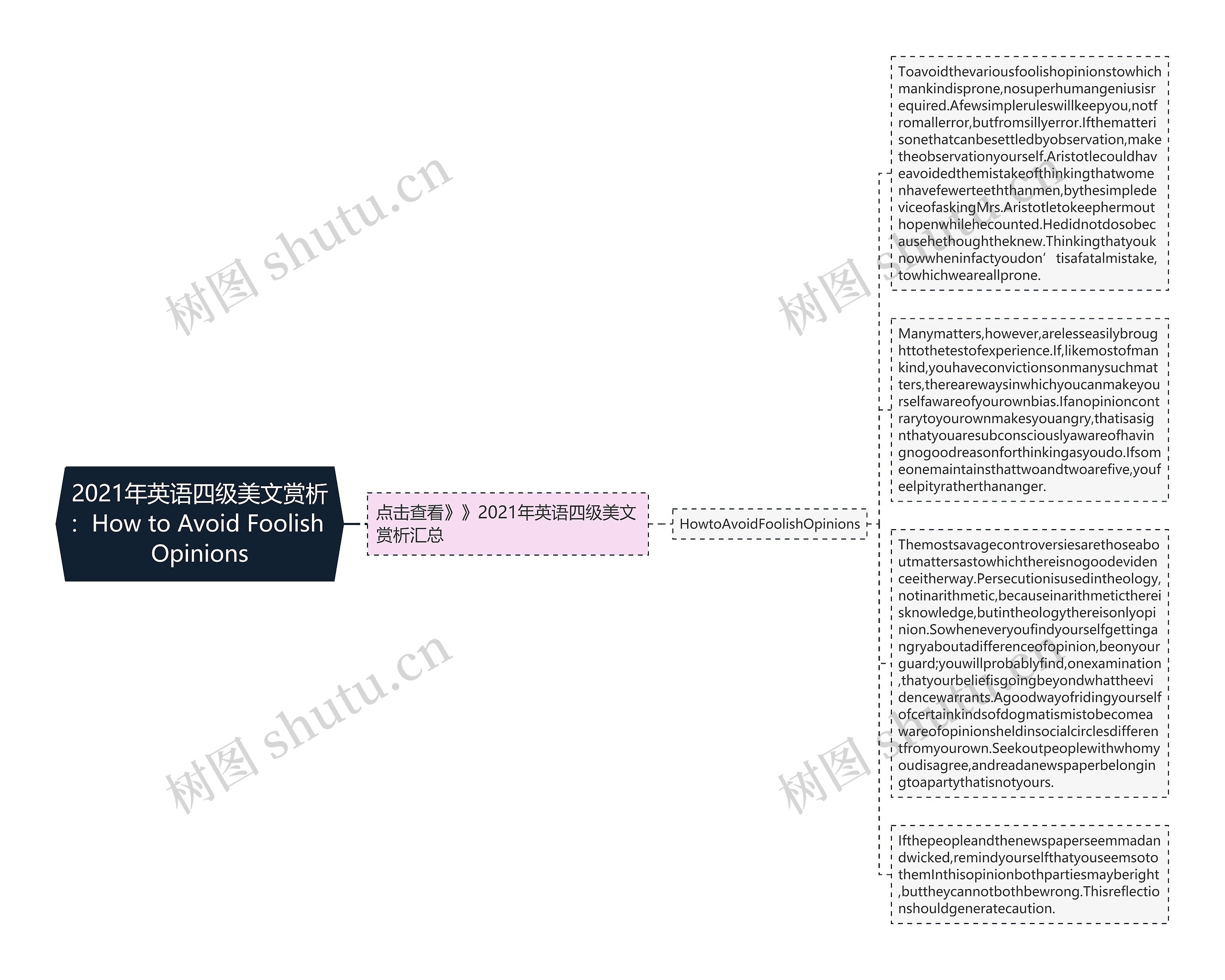 2021年英语四级美文赏析：How to Avoid Foolish Opinions思维导图