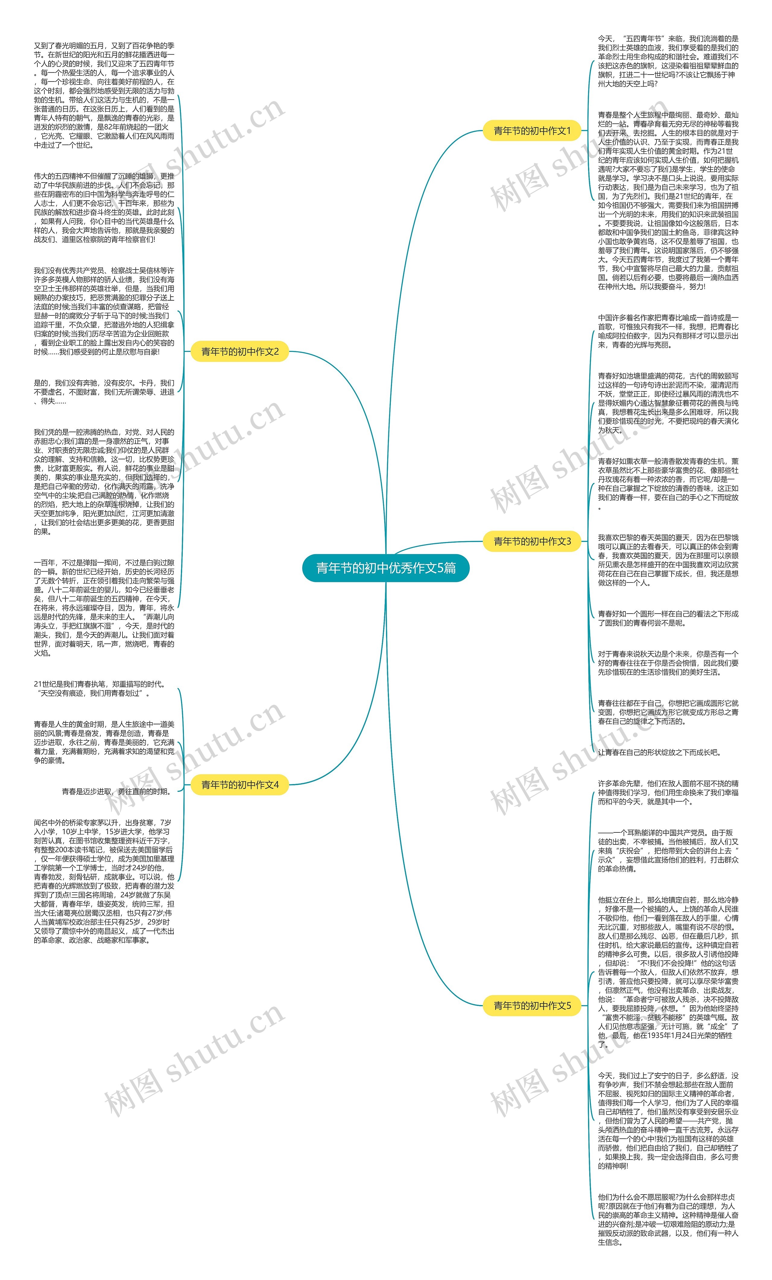 青年节的初中优秀作文5篇思维导图