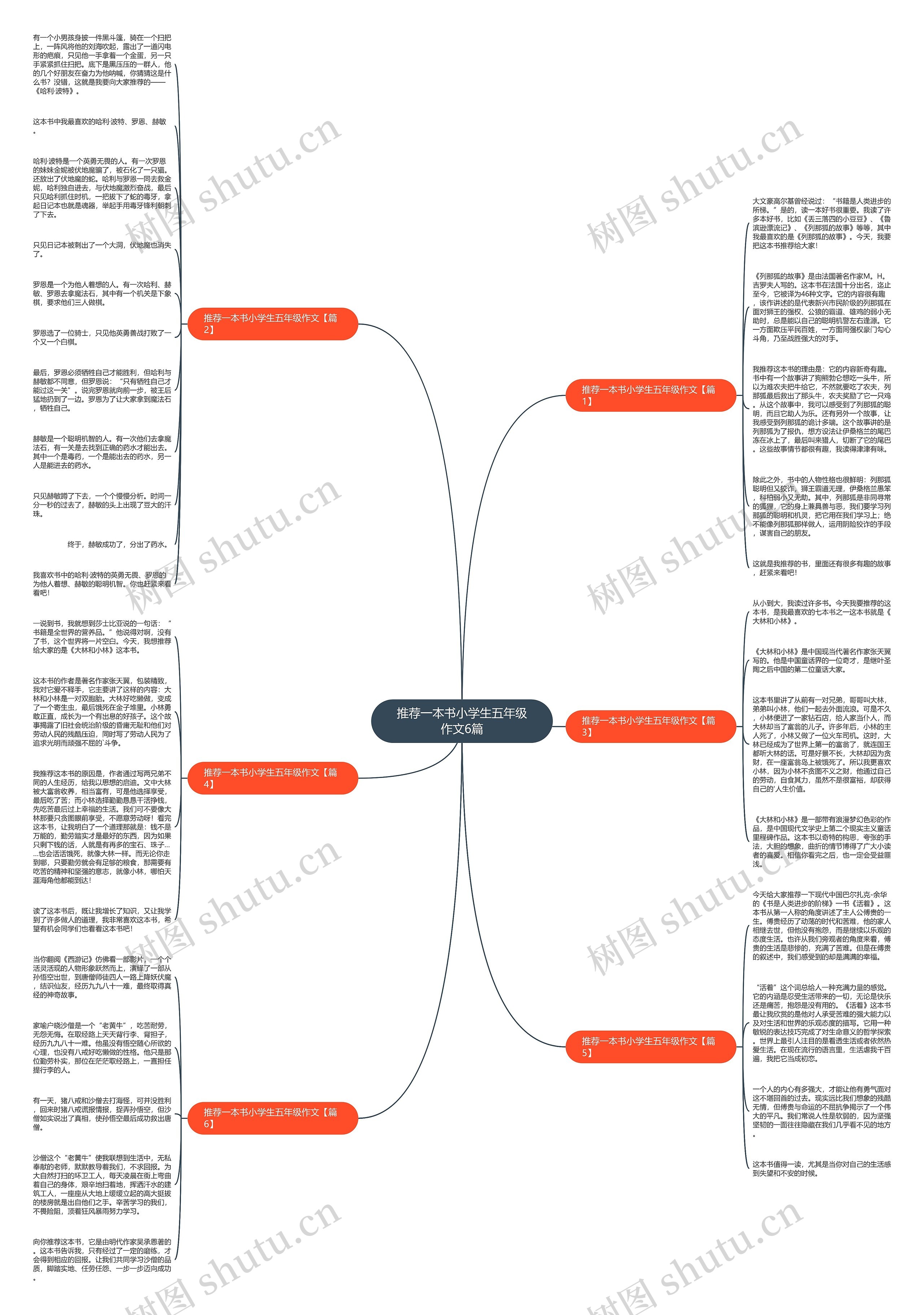 推荐一本书小学生五年级作文6篇思维导图