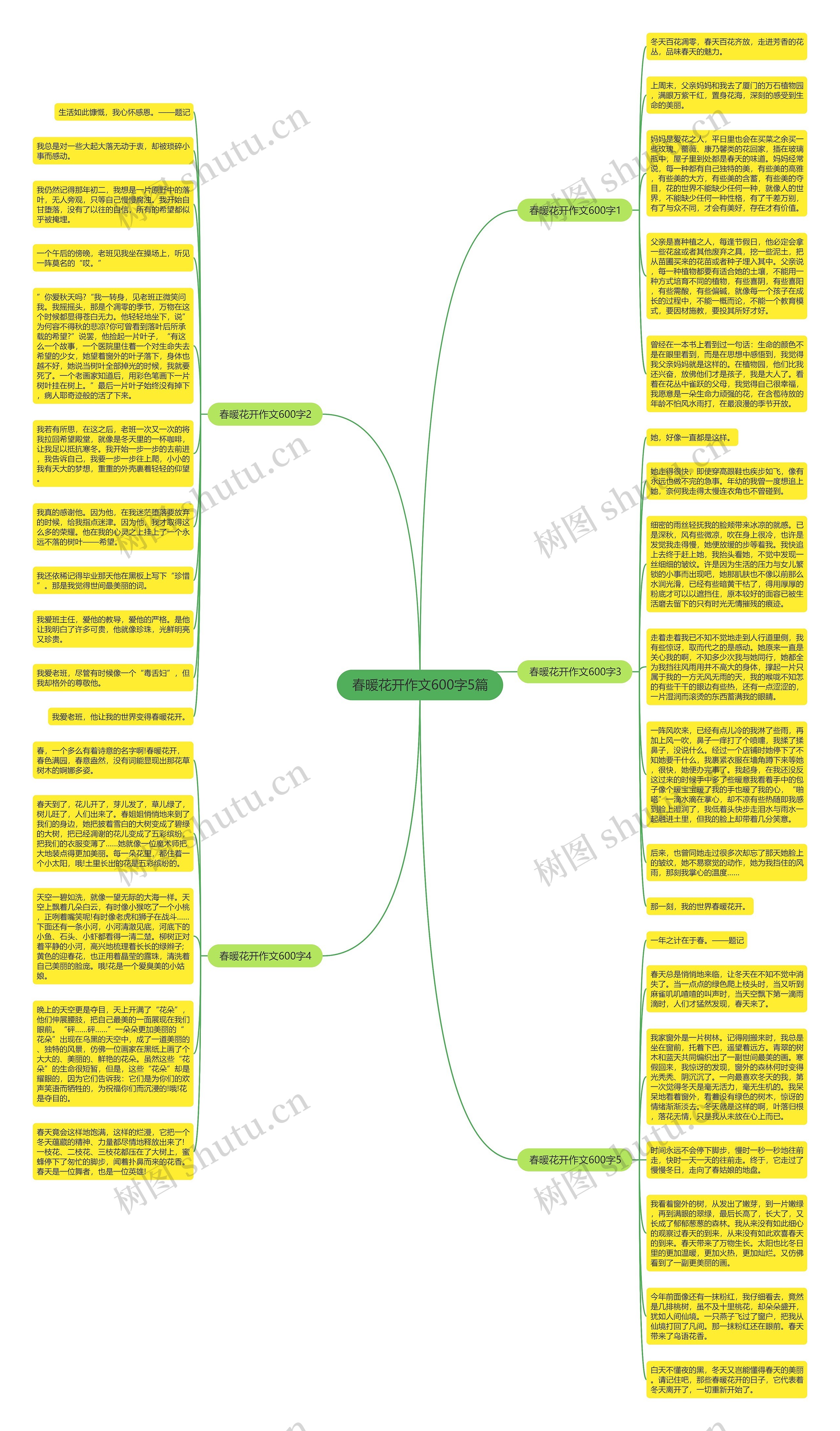 春暖花开作文600字5篇思维导图