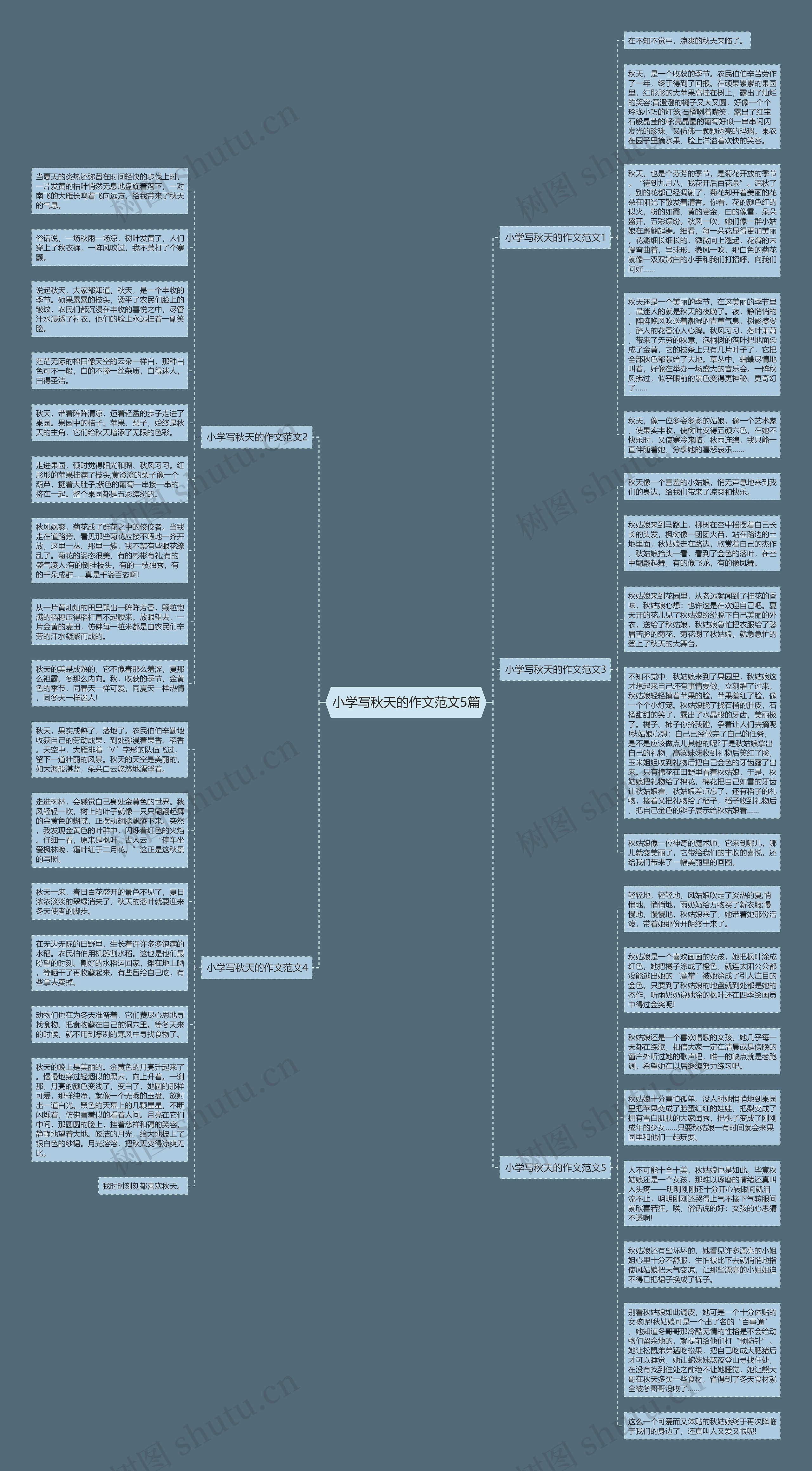 小学写秋天的作文范文5篇思维导图