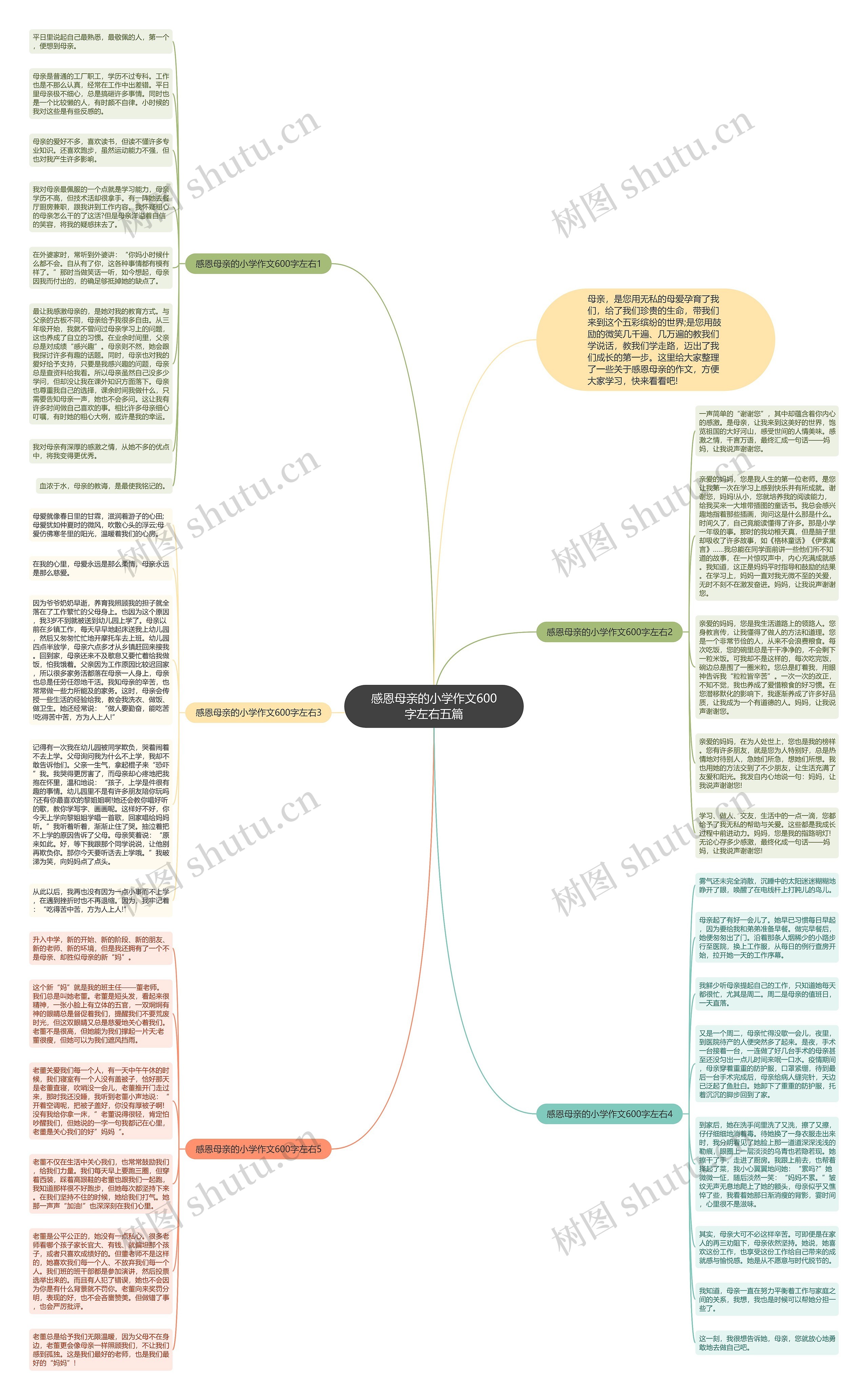 感恩母亲的小学作文600字左右五篇思维导图