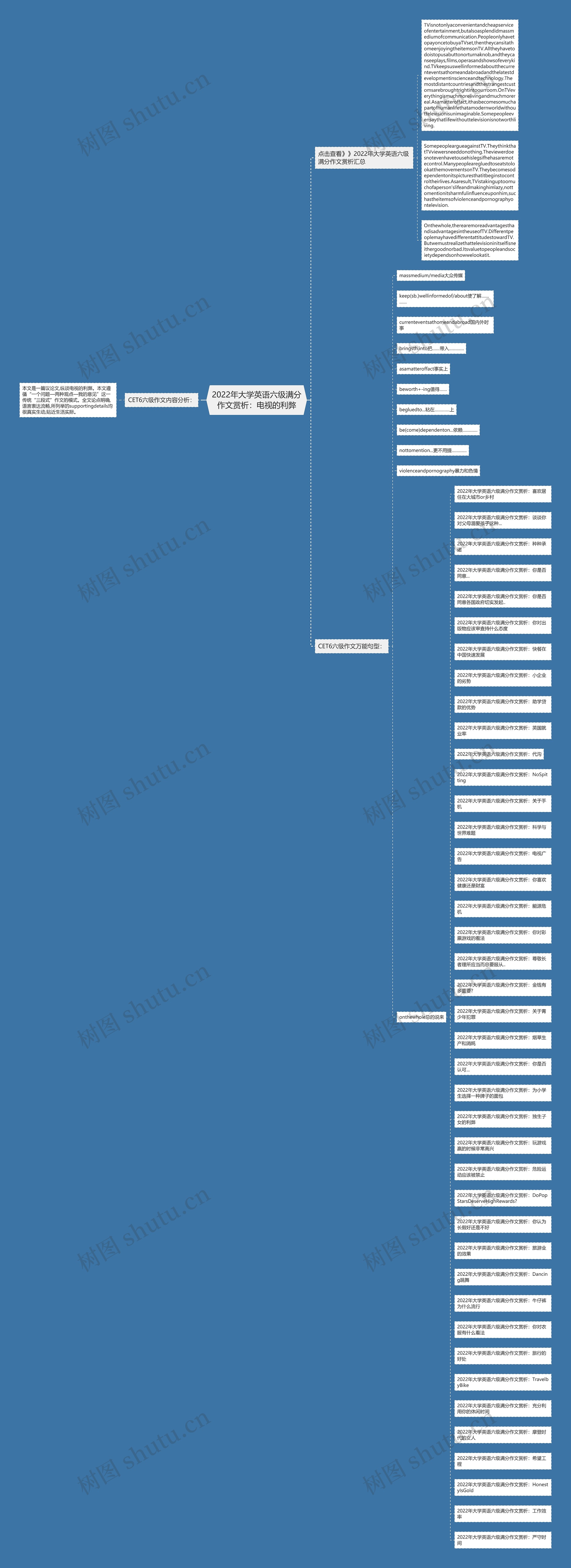 2022年大学英语六级满分作文赏析：电视的利弊思维导图