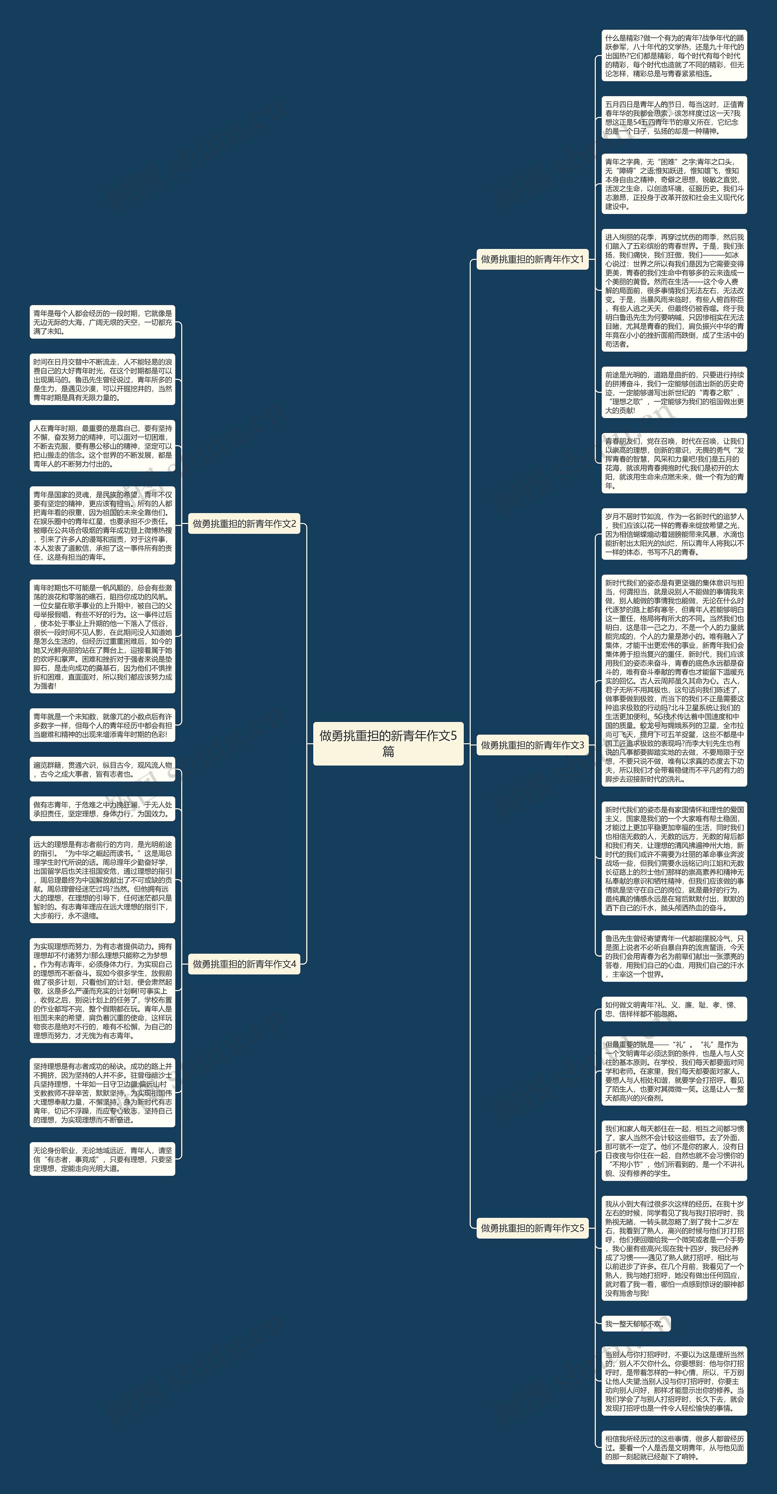 做勇挑重担的新青年作文5篇思维导图