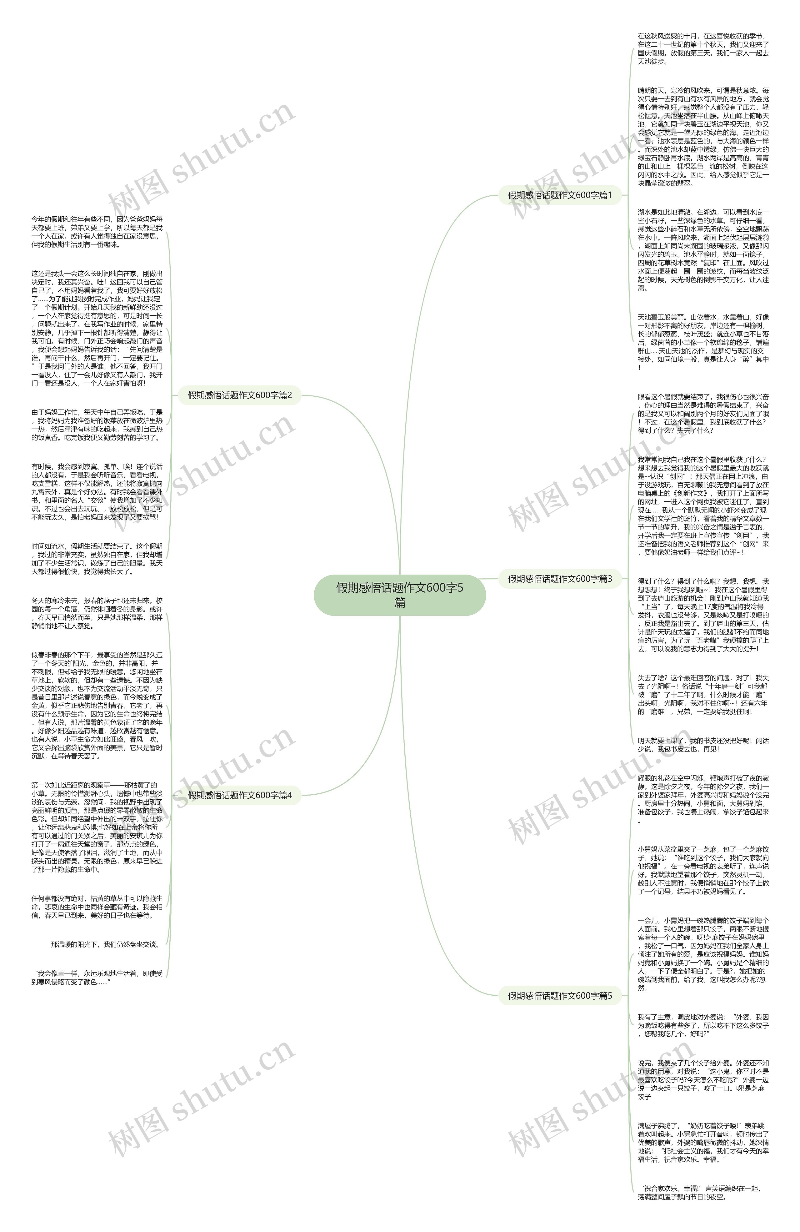 假期感悟话题作文600字5篇思维导图